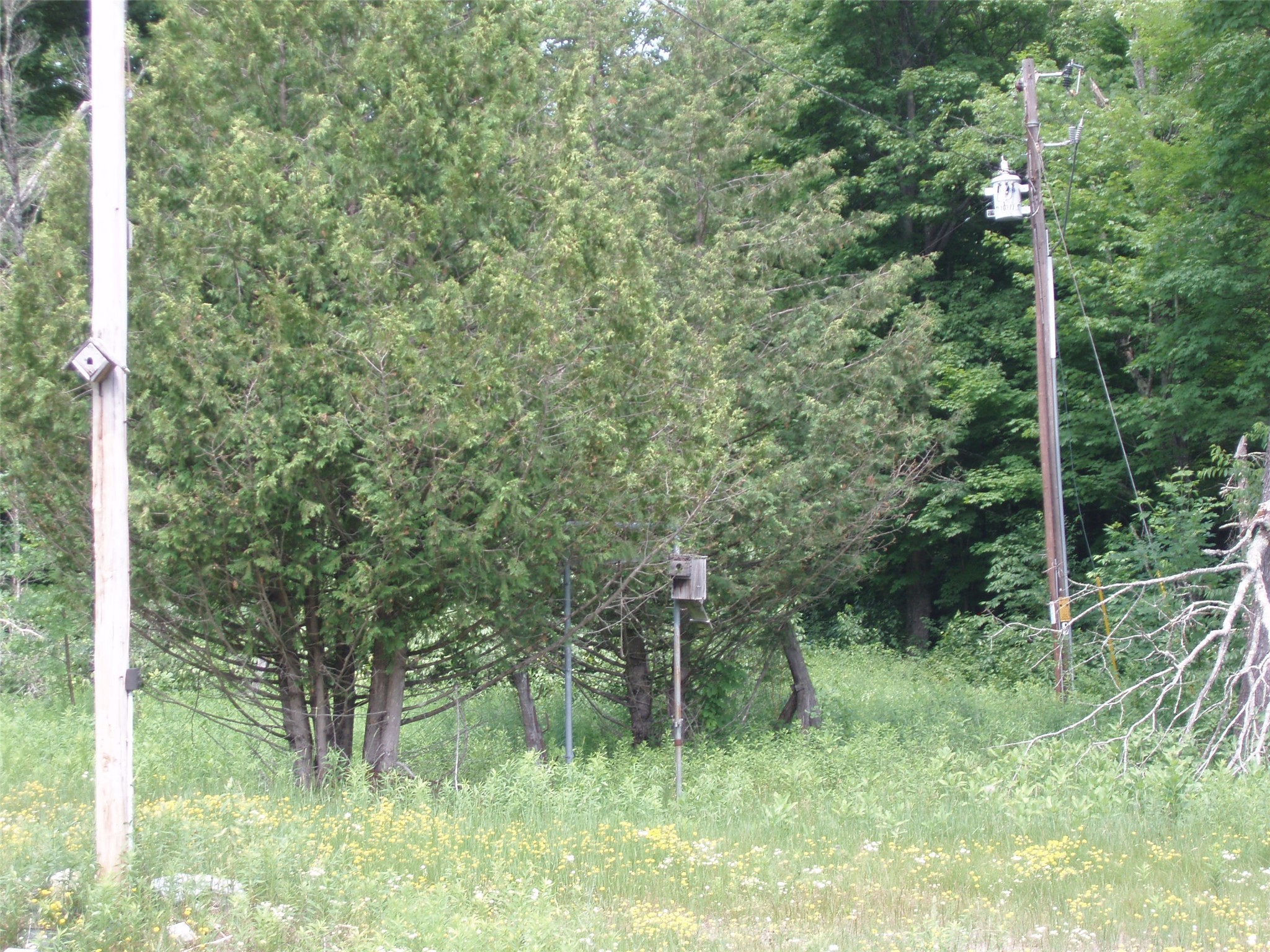 2460N County Highway Ff Butternut WI 54514 1602950 image27