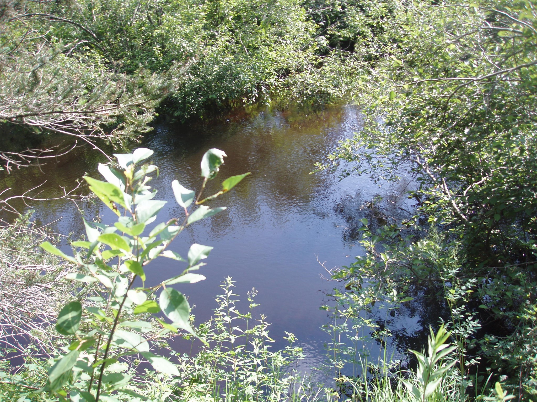 2460N County Highway Ff Butternut WI 54514 1602950 image30