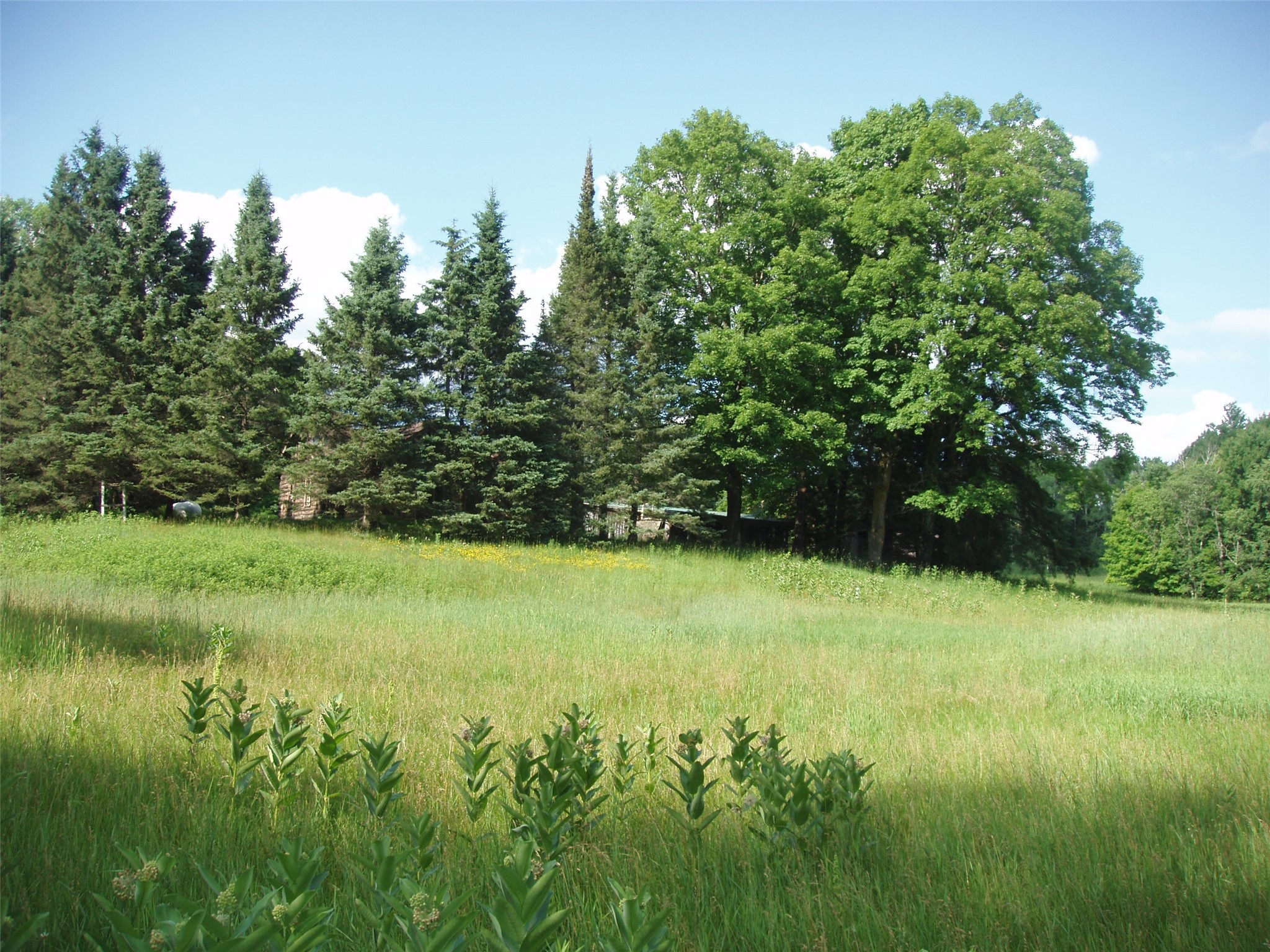 2460N County Highway Ff Butternut WI 54514 1602950 image31