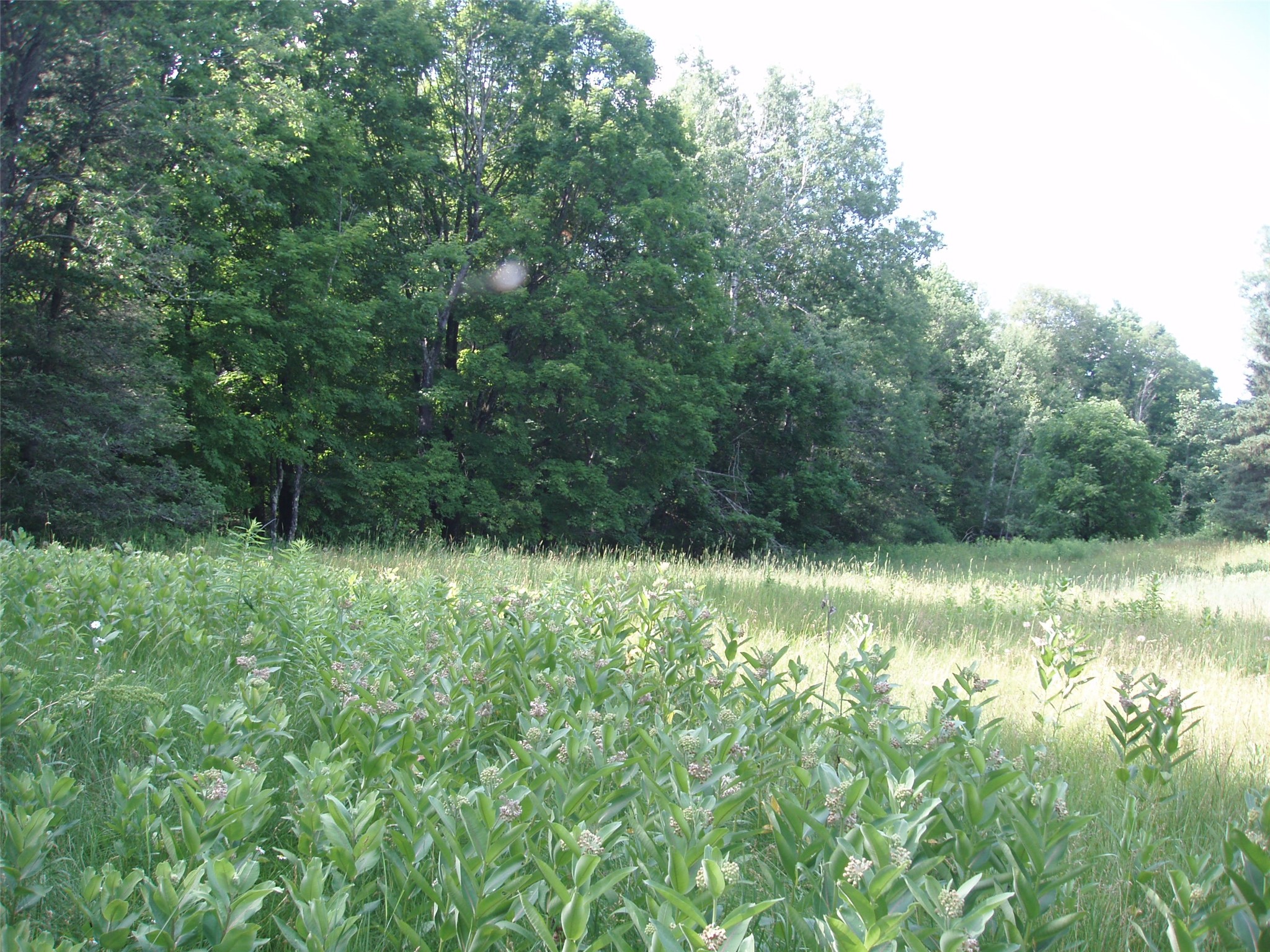 2460N County Highway Ff Butternut WI 54514 1602950 image33