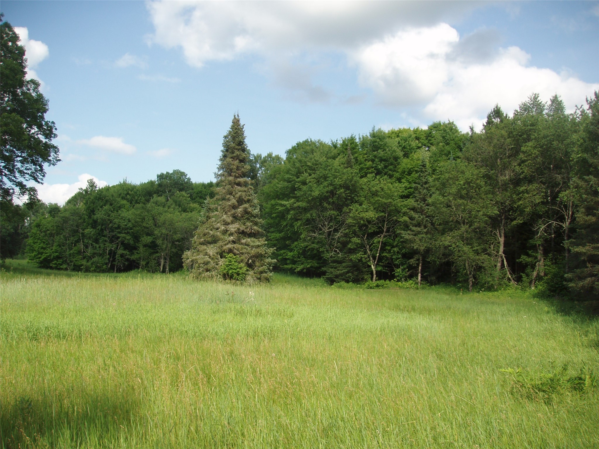 2460N County Highway Ff Butternut WI 54514 1602950 image34