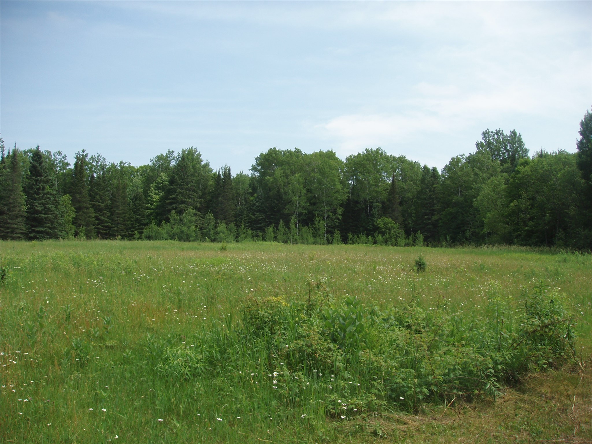 2460N County Highway Ff Butternut WI 54514 1602950 image8