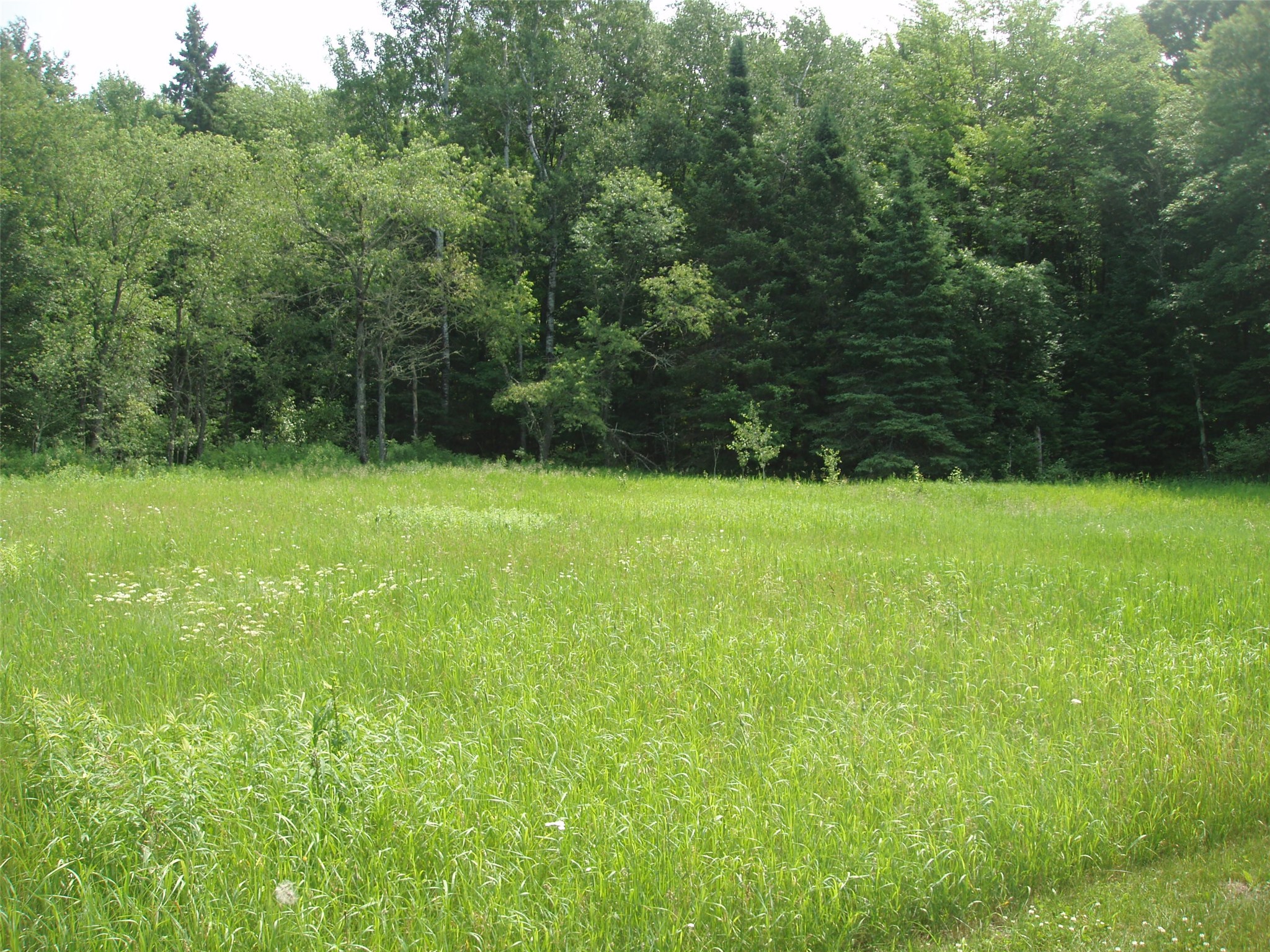 2460N County Highway Ff Butternut WI 54514 1602950 image9