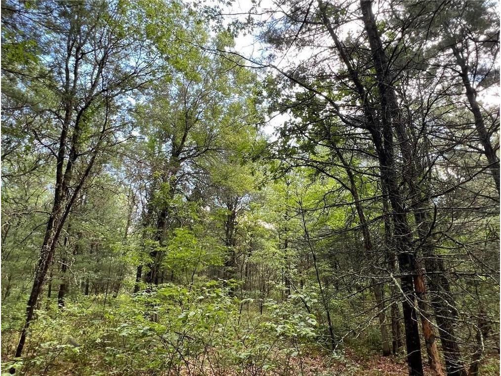 24642 McLain Road Grantsburg WI 54840 1573177 image1