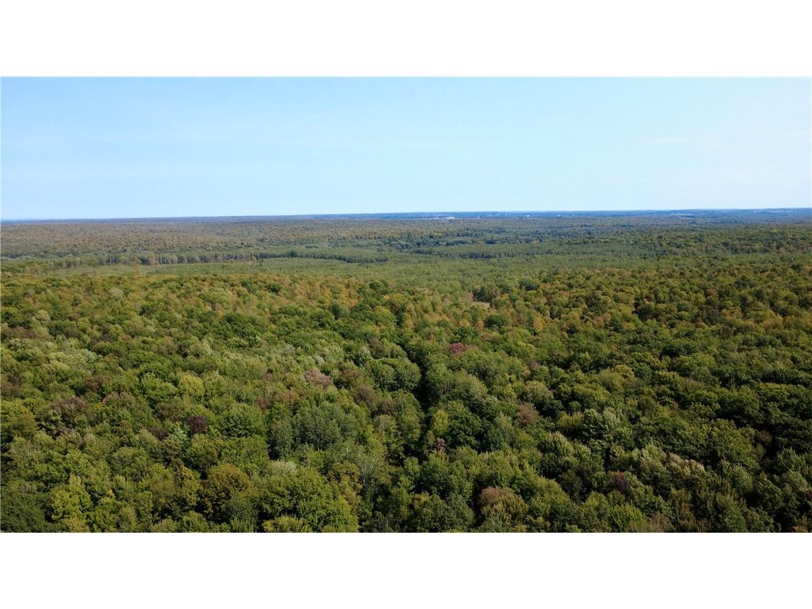 247125 Nehrbass Road Athens WI 54411 1598884 image40