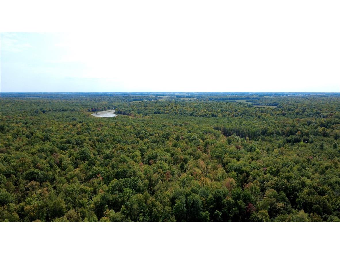 247125 Nehrbass Road Athens WI 54411 1598884 image41