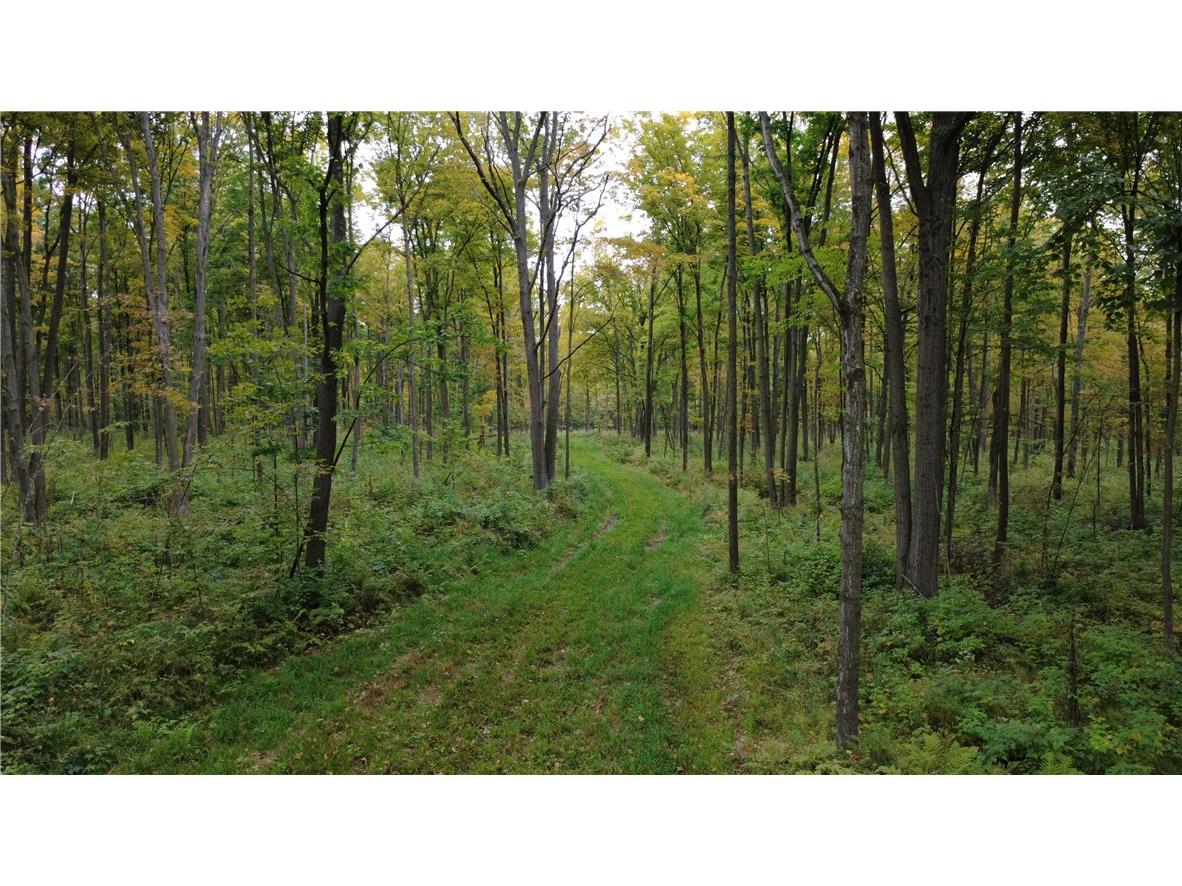 247125 Nehrbass Road Athens WI 54411 1598884 image42