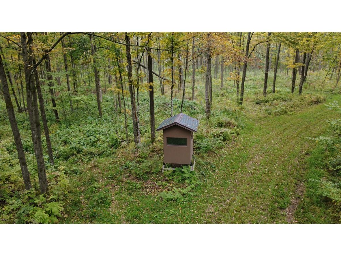 247125 Nehrbass Road Athens WI 54411 1598884 image43