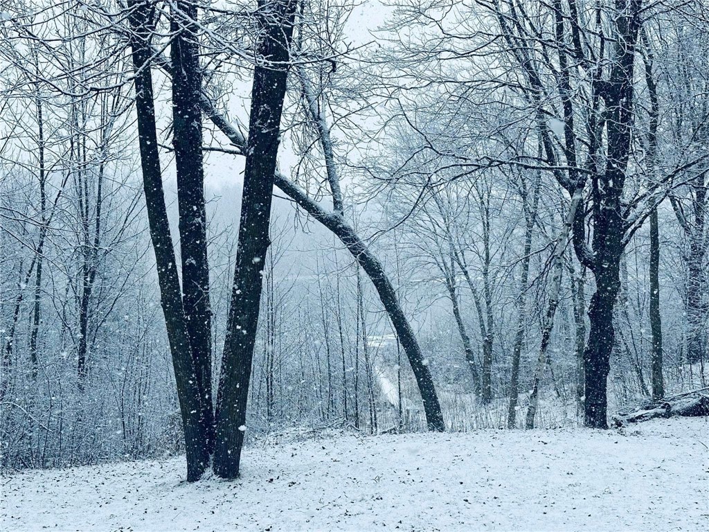 2473 27 1/2 Street Rice Lake WI 54868 - MINNOW 1597809 image3