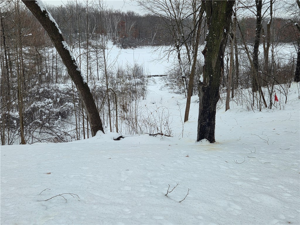 2473 27 1/2 Street Rice Lake WI 54868 - MINNOW 1597809 image7