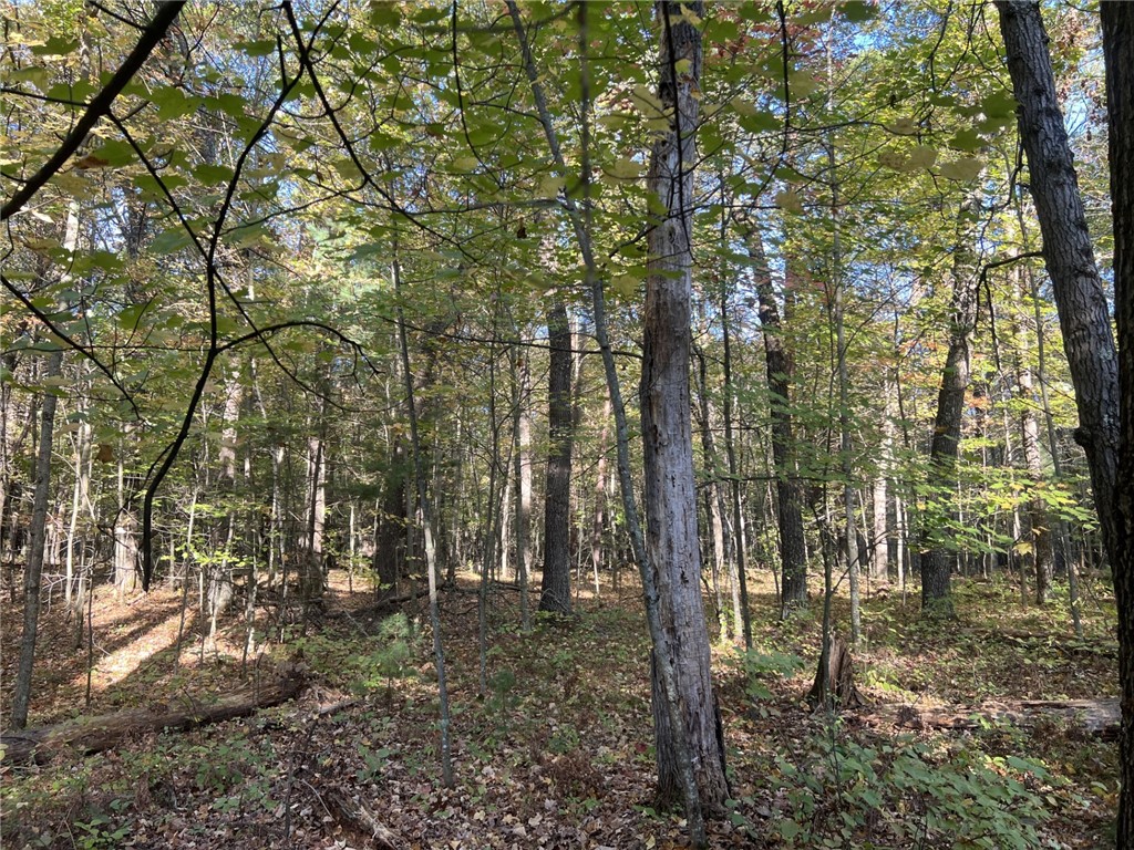 24877 Leghorn Dr Siren WI 54872 1596248 image1