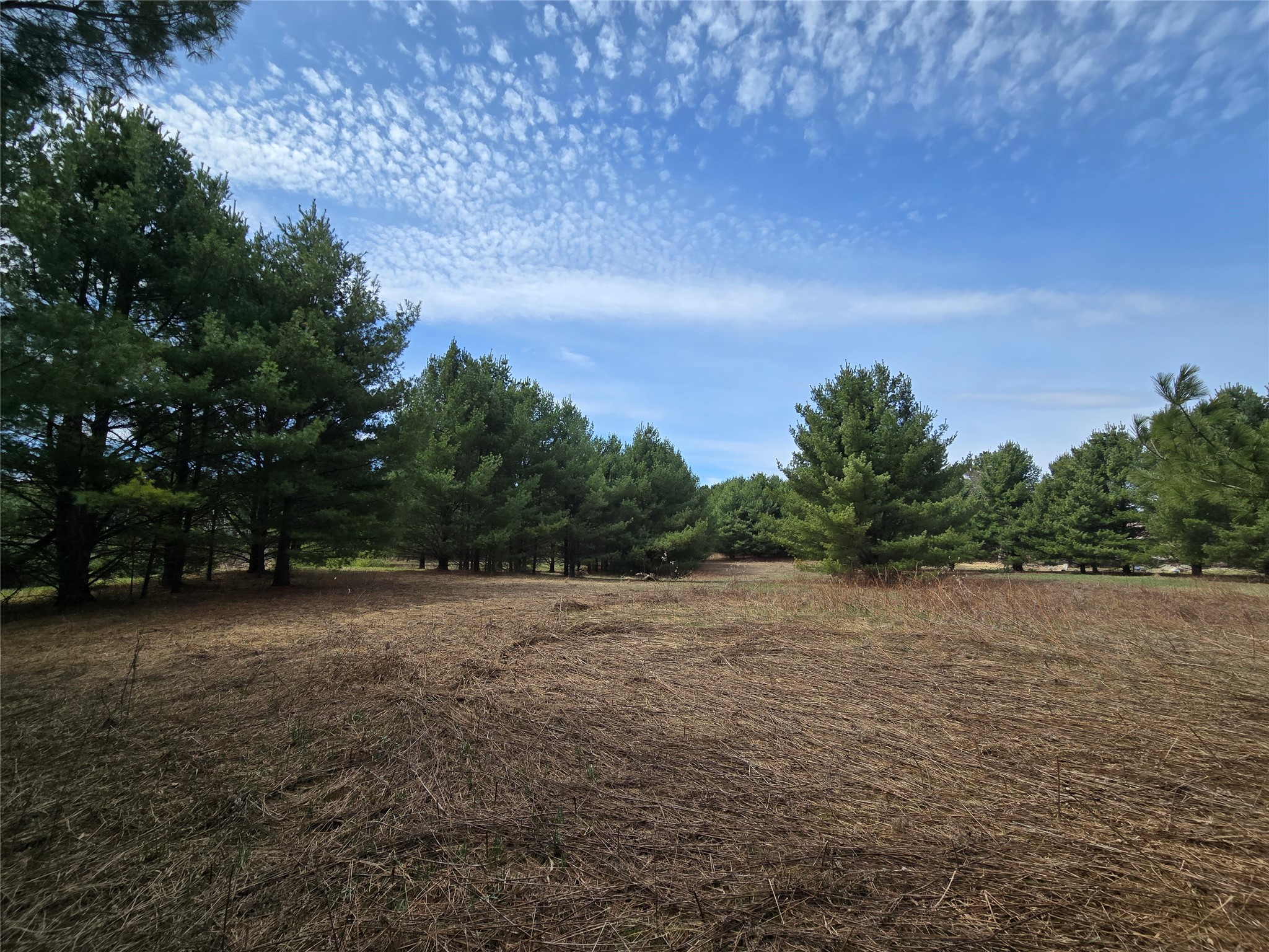 2488 20th Street Cumberland WI 54829 1597769 image10