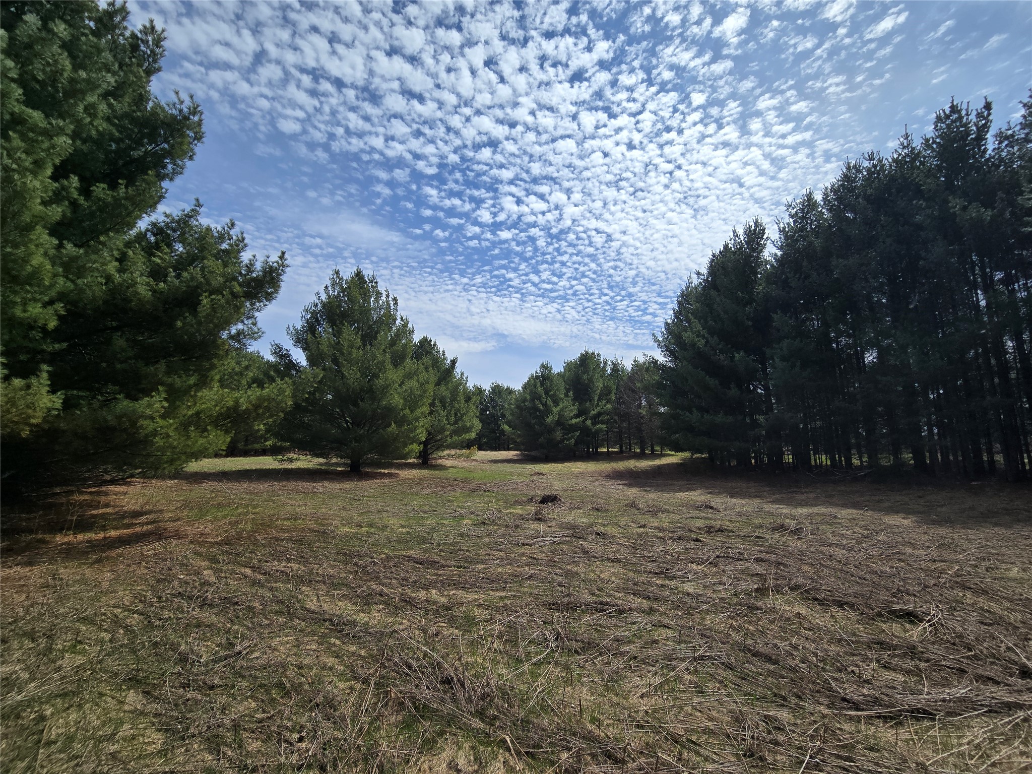 2488 20th Street Cumberland WI 54829 1597769 image12