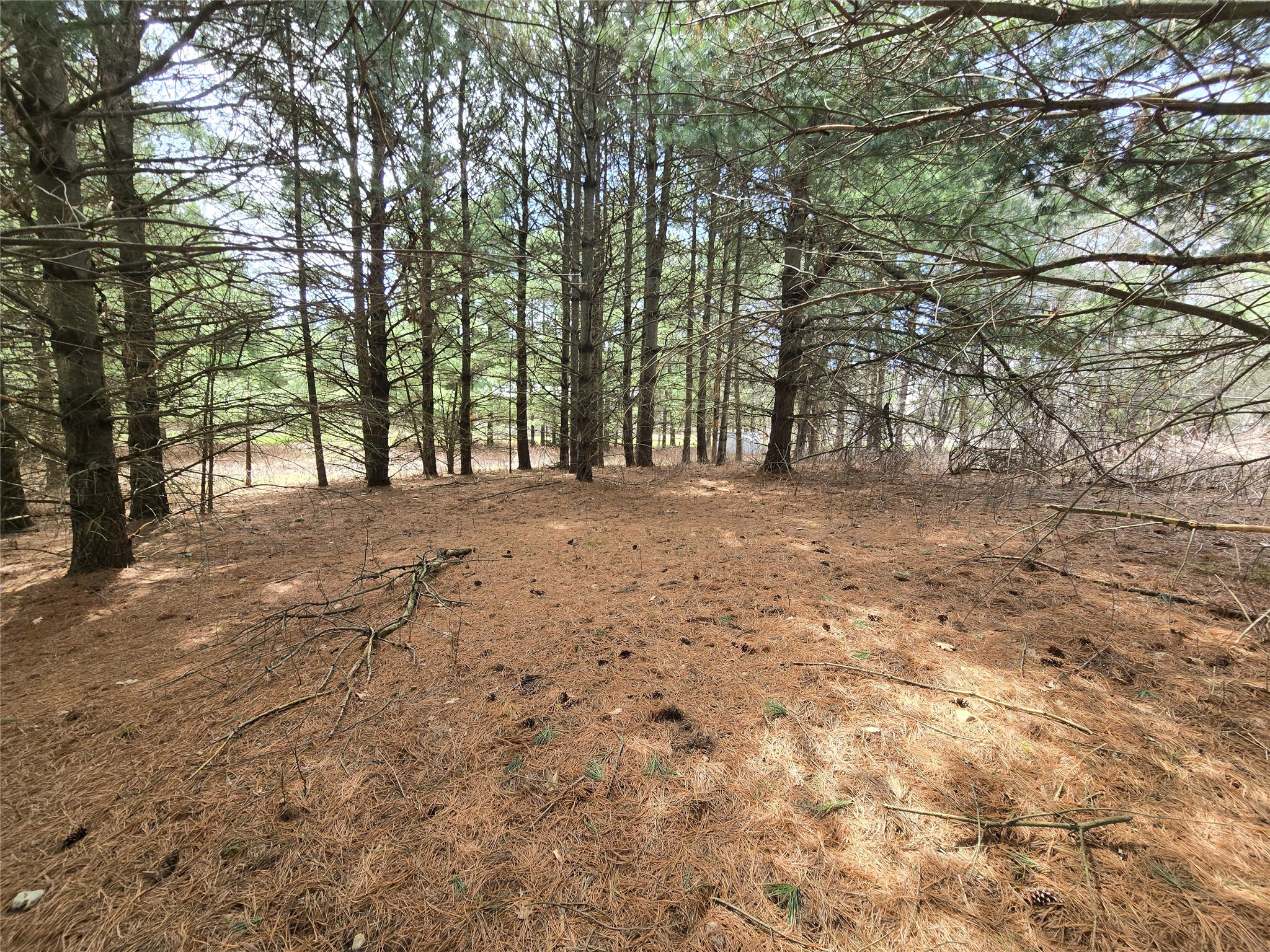 2488 20th Street Cumberland WI 54829 1597769 image13