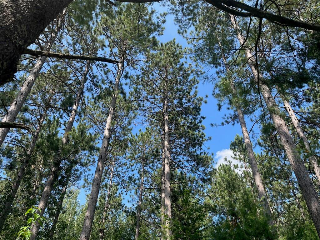 24XXX Polansky Road Webster WI 54893 1577560 image1