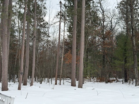 25106 Shady Oaks Lane Siren WI 54872 1598336 image3