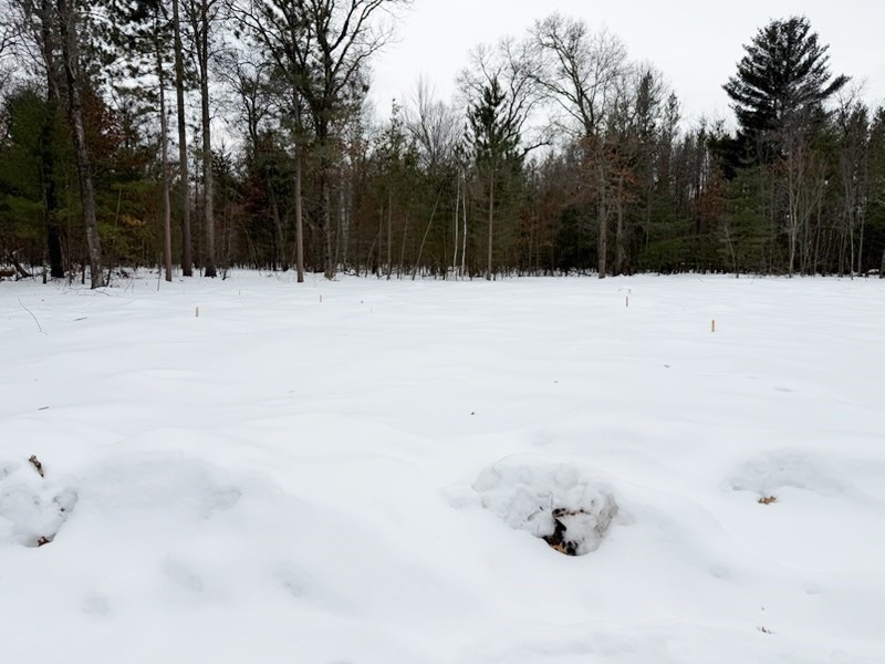 25106 Shady Oaks Lane Siren WI 54872 1598336 image7