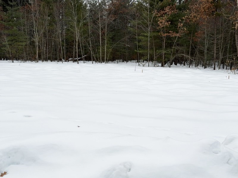 25106 Shady Oaks Lane Siren WI 54872 1598336 image8