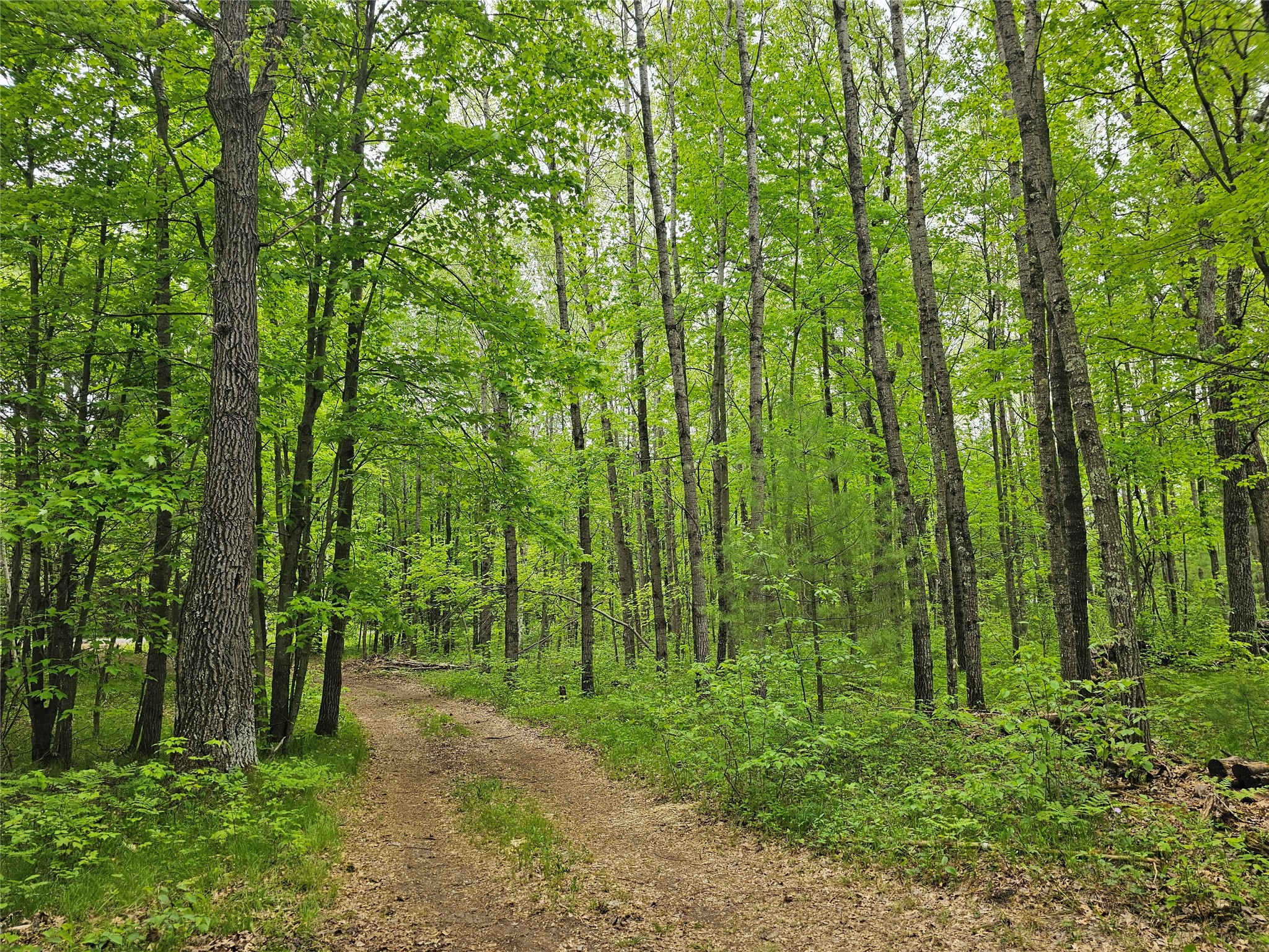 25227 Kruger Road Webster WI 54893 1601553 image4