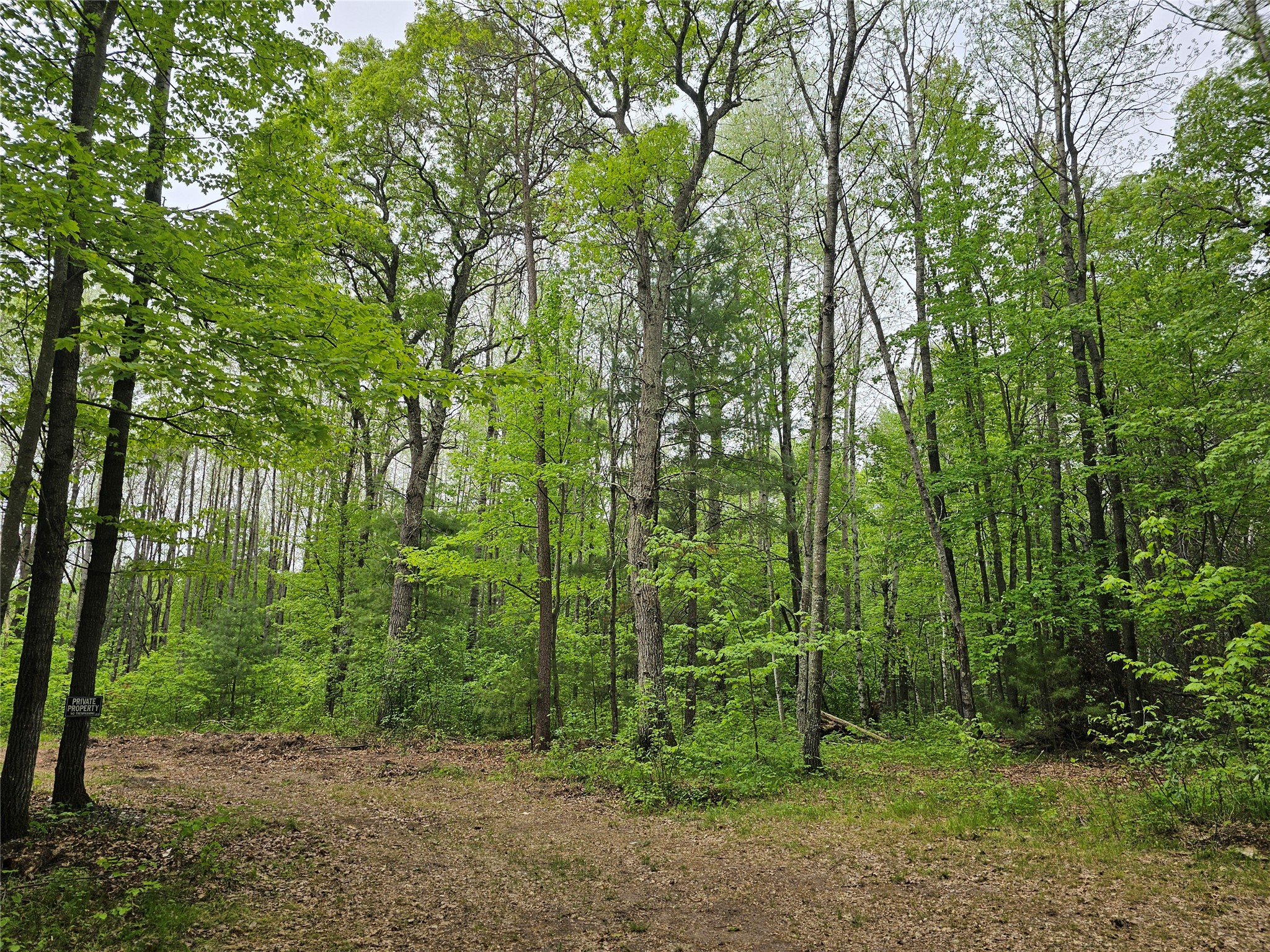 25227 Kruger Road Webster WI 54893 1601553 image5