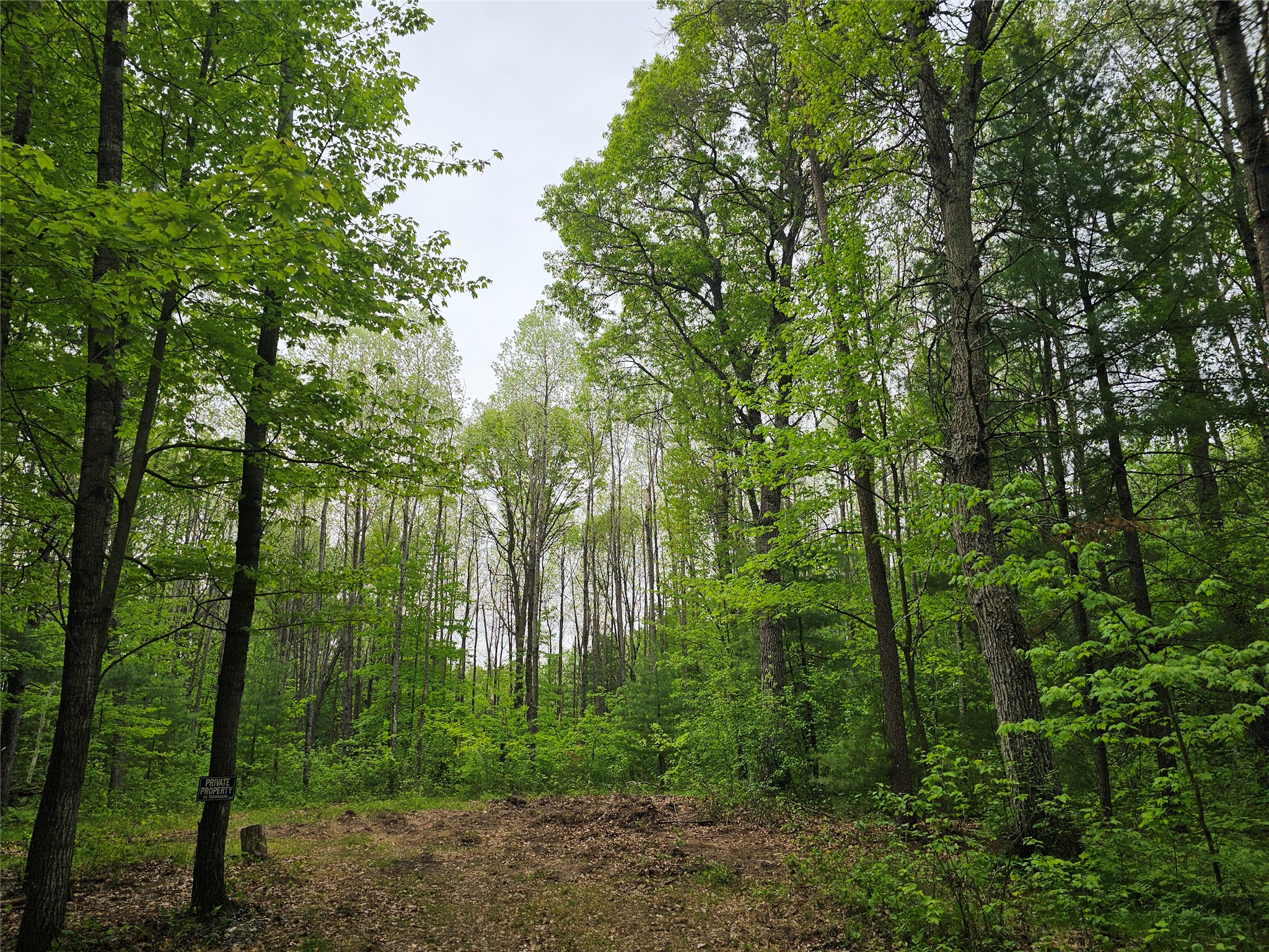 25227 Kruger Road Webster WI 54893 1601553 image8