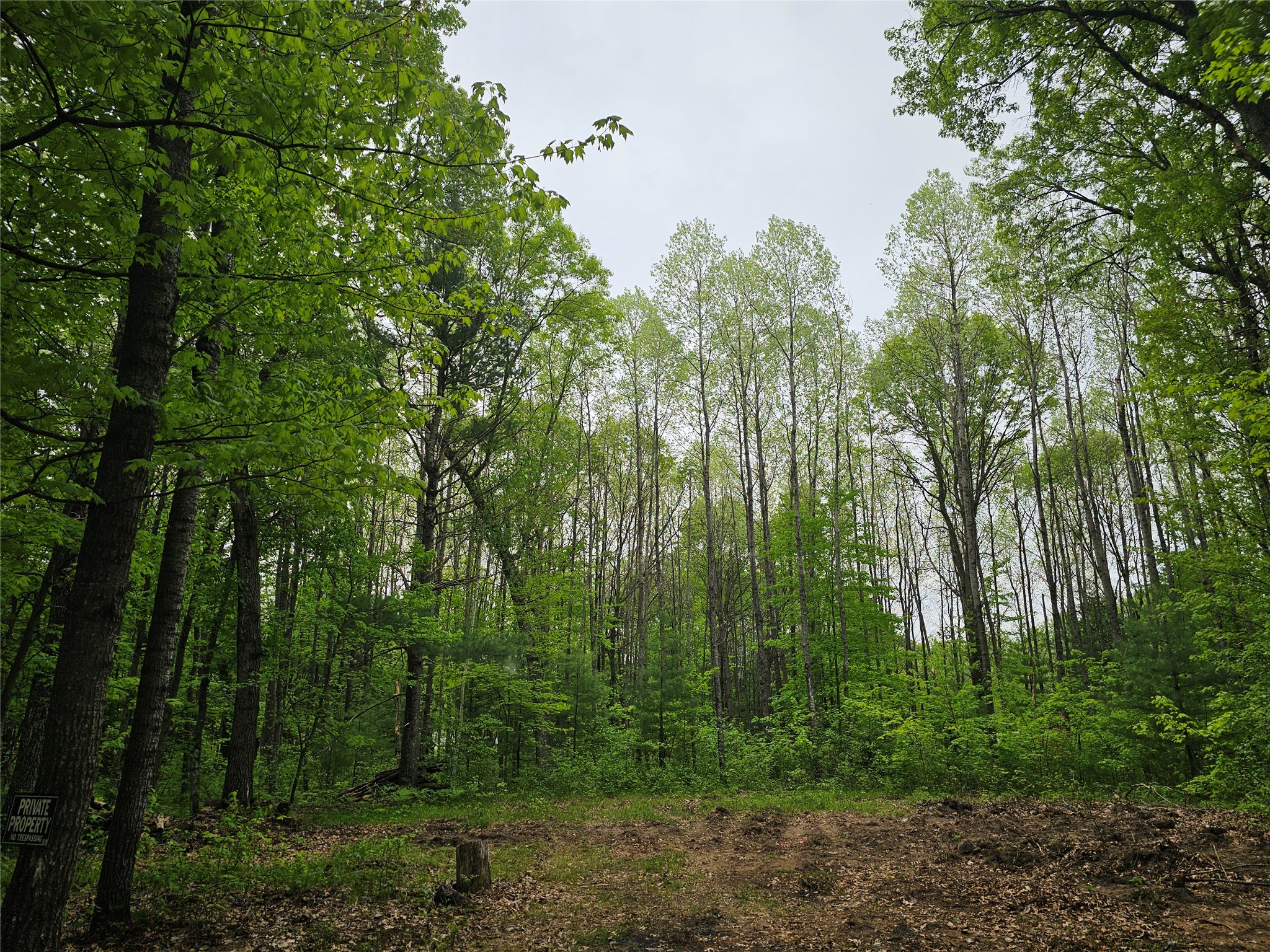25227 Kruger Road Webster WI 54893 1601553 image9
