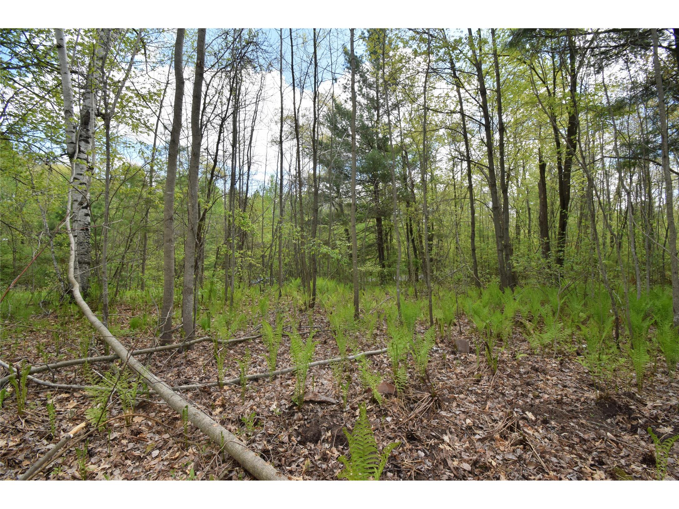 25383 Mansfield Road Webster WI 54893 - Clam 1601408 image12