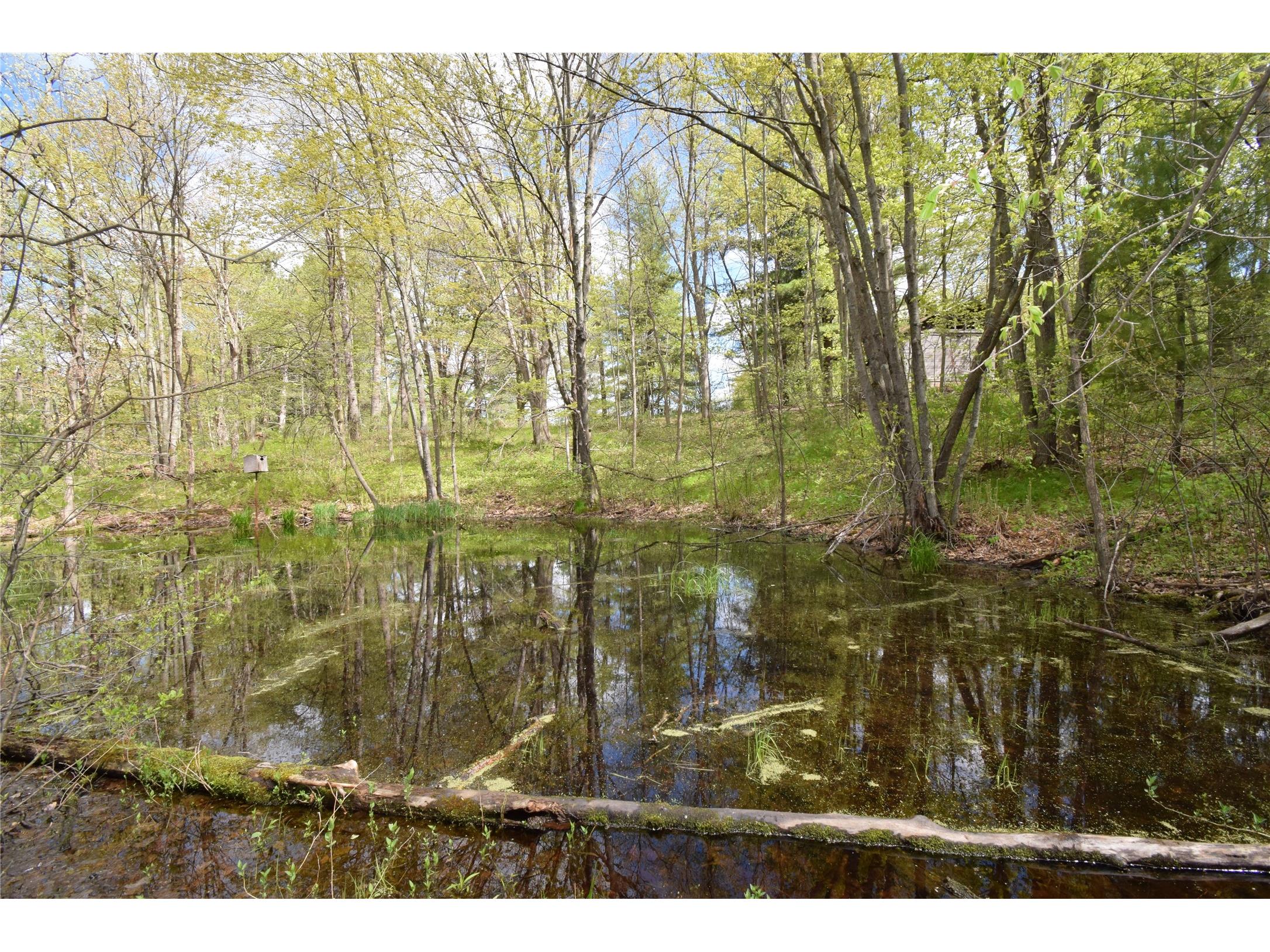 25383 Mansfield Road Webster WI 54893 - Clam 1601408 image13