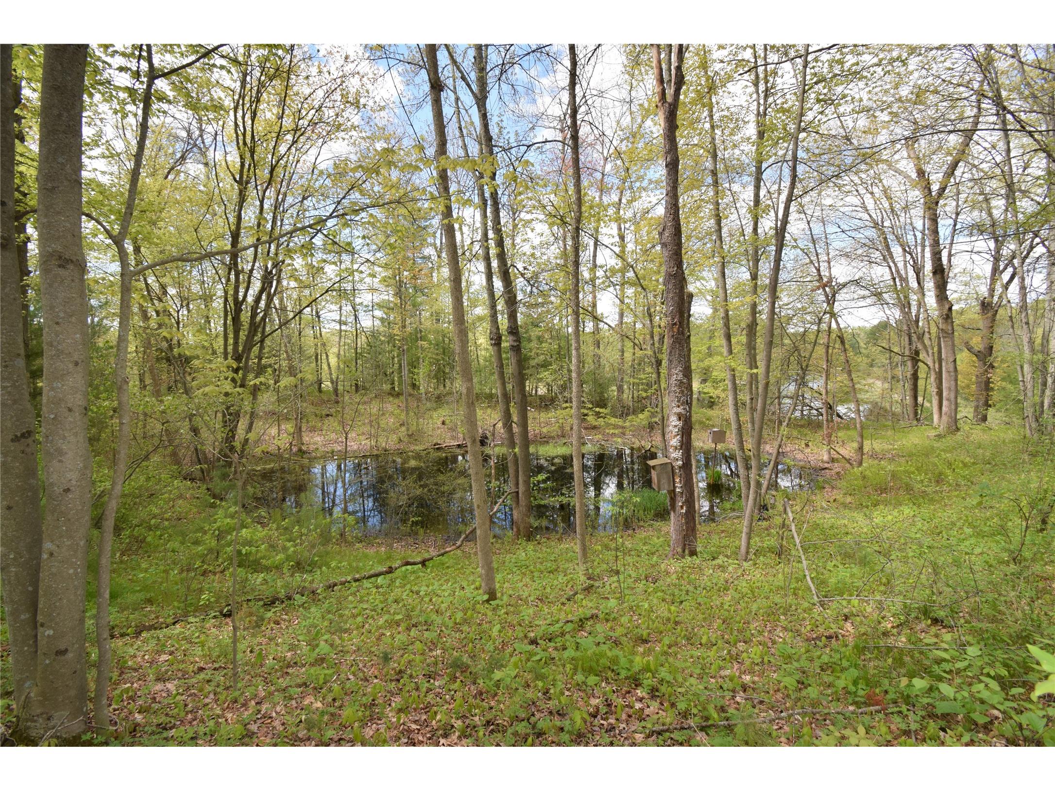 25383 Mansfield Road Webster WI 54893 - Clam 1601408 image14