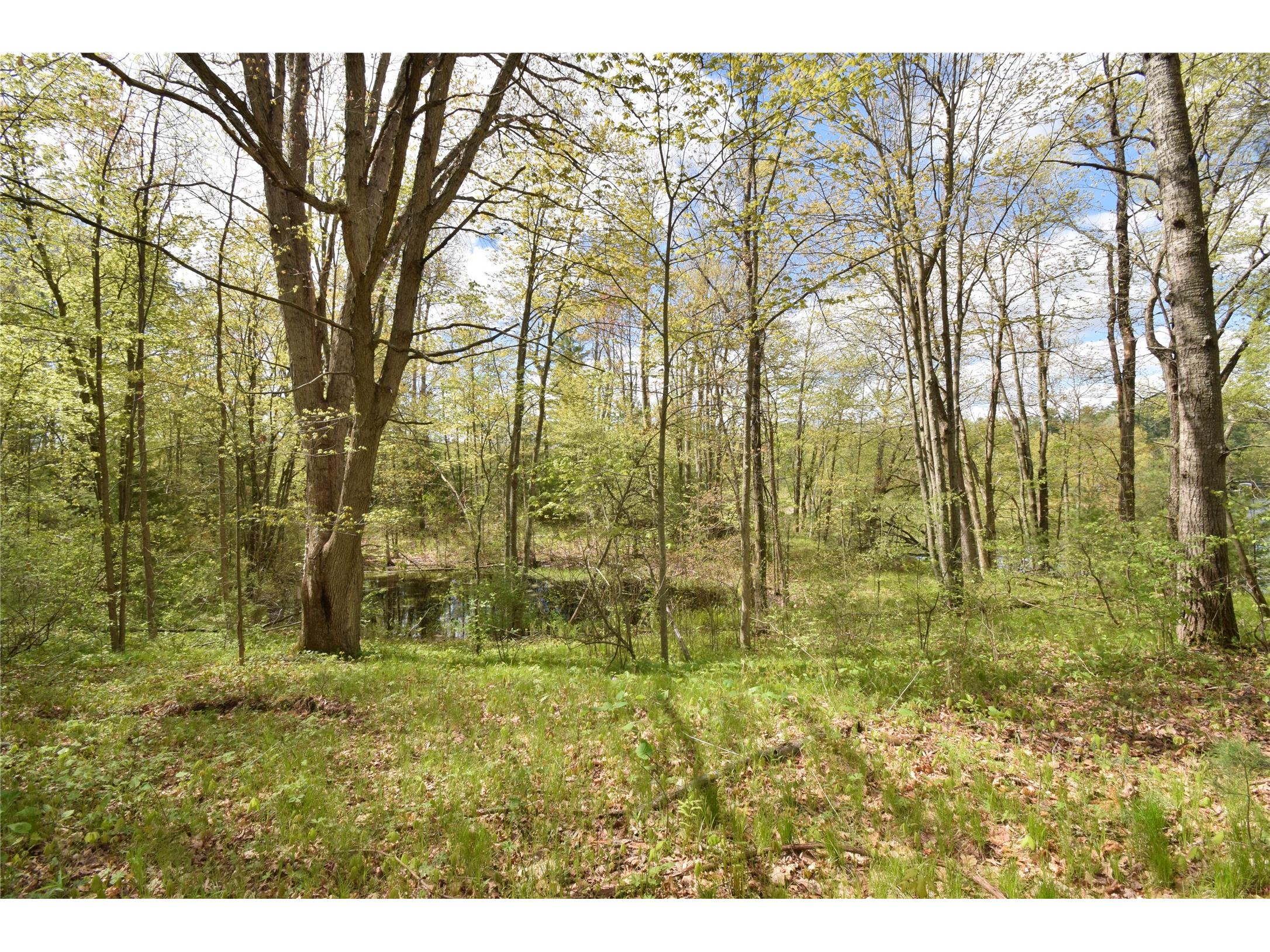 25383 Mansfield Road Webster WI 54893 - Clam 1601408 image15