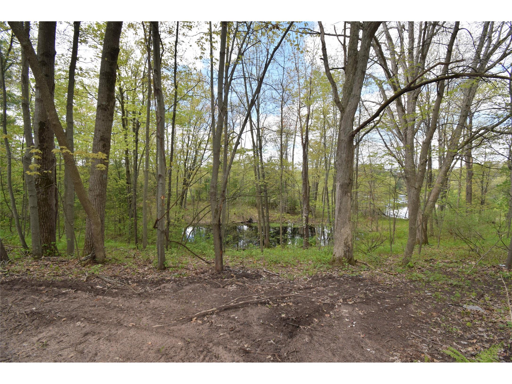 25383 Mansfield Road Webster WI 54893 - Clam 1601408 image16