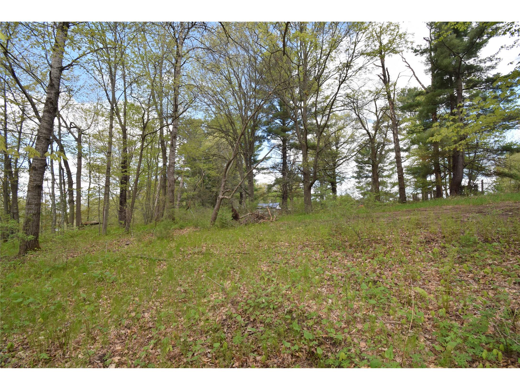 25383 Mansfield Road Webster WI 54893 - Clam 1601408 image22