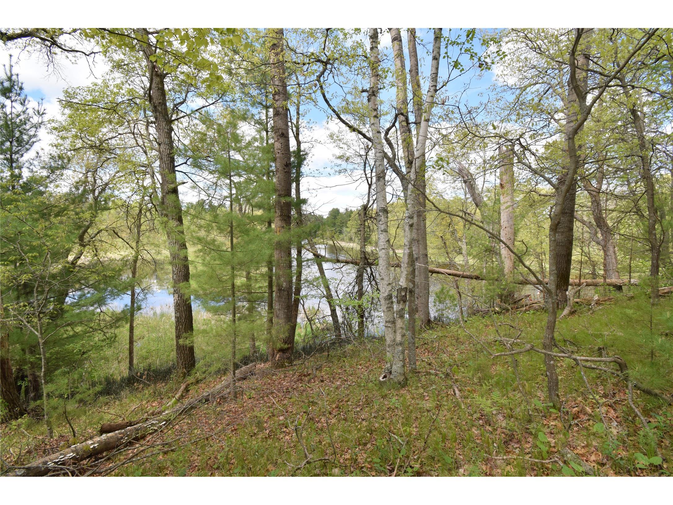 25383 Mansfield Road Webster WI 54893 - Clam 1601408 image7