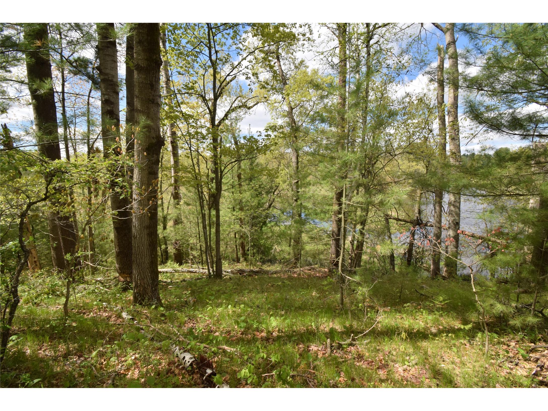 25383 Mansfield Road Webster WI 54893 - Clam 1601408 image8