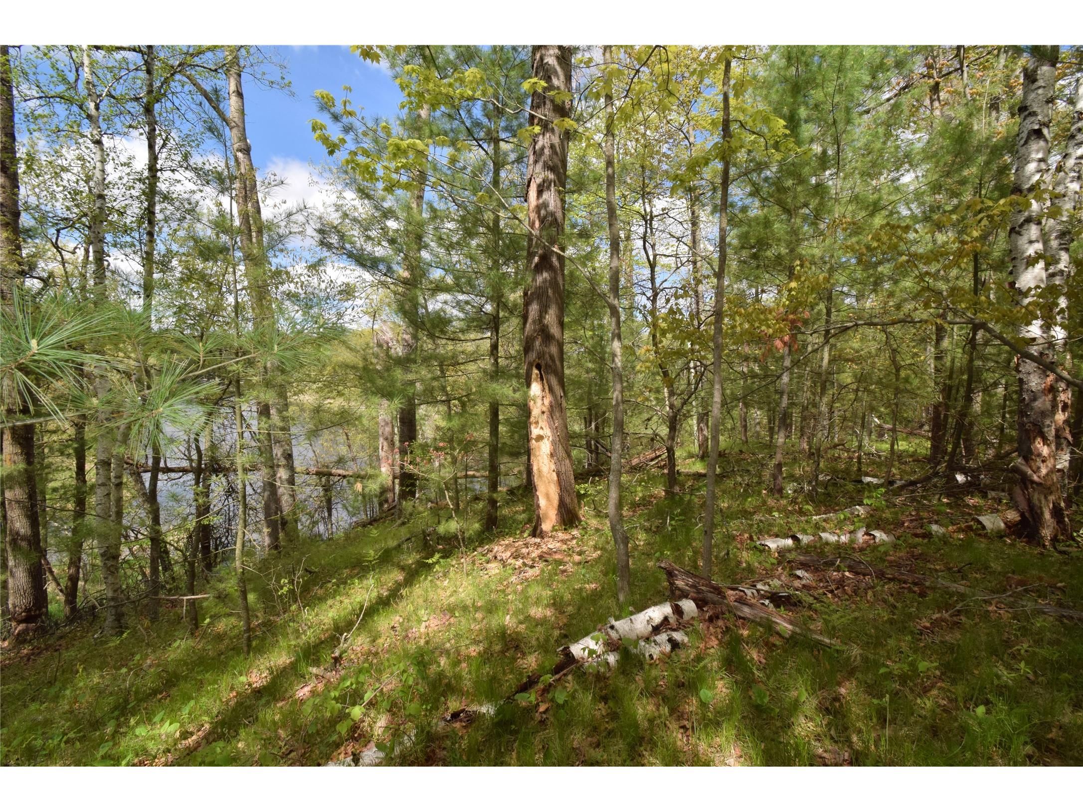 25383 Mansfield Road Webster WI 54893 - Clam 1601408 image9