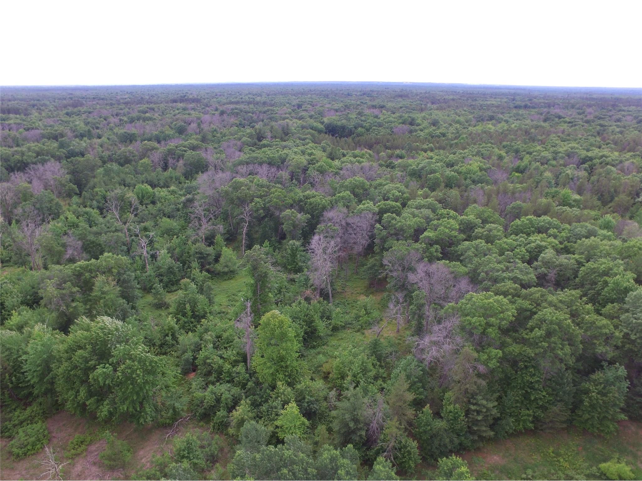 25385 Spaulding Road Grantsburg WI 54840 1602394 image4