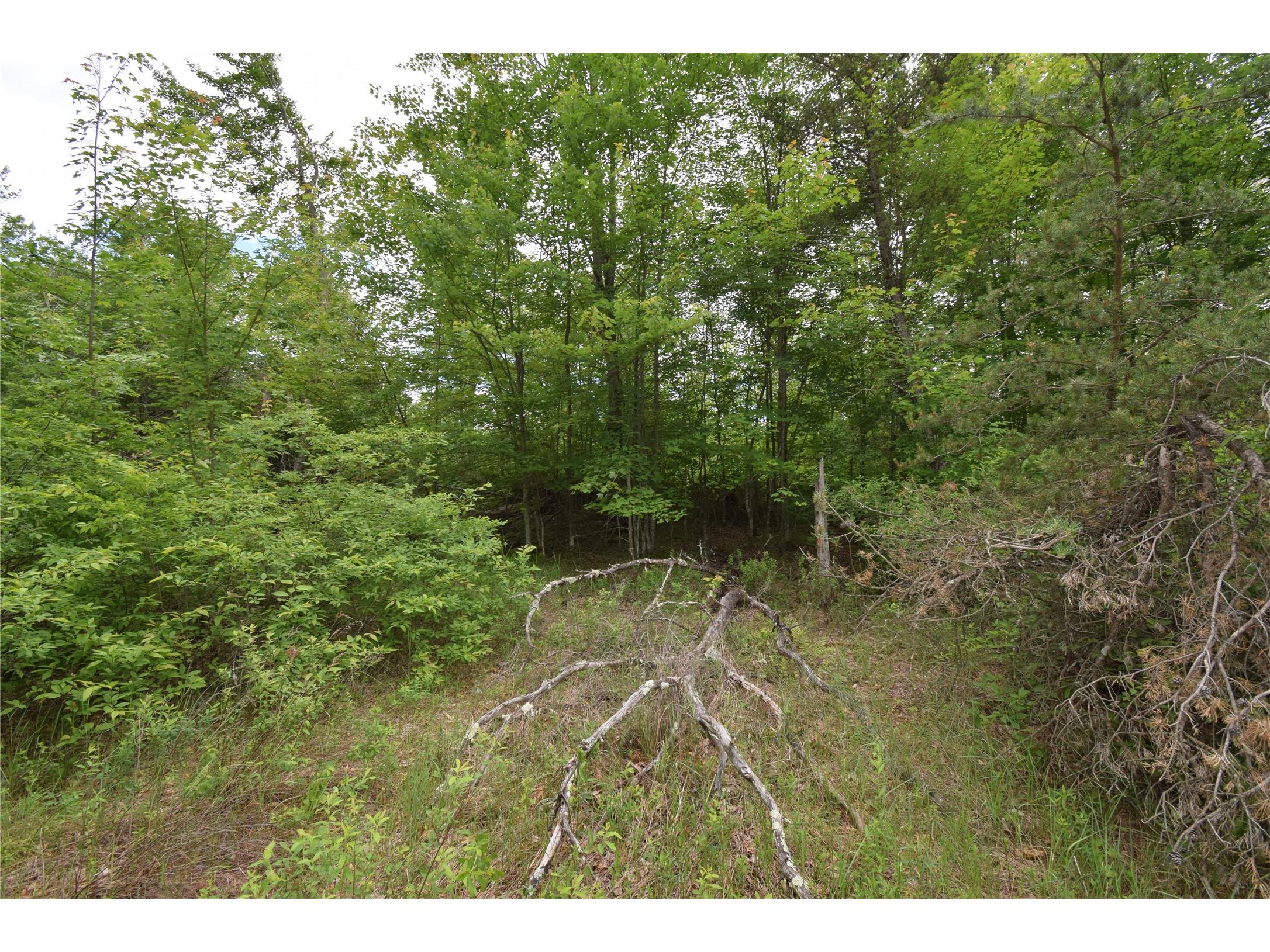 25385 Spaulding Road Grantsburg WI 54840 1602394 image7
