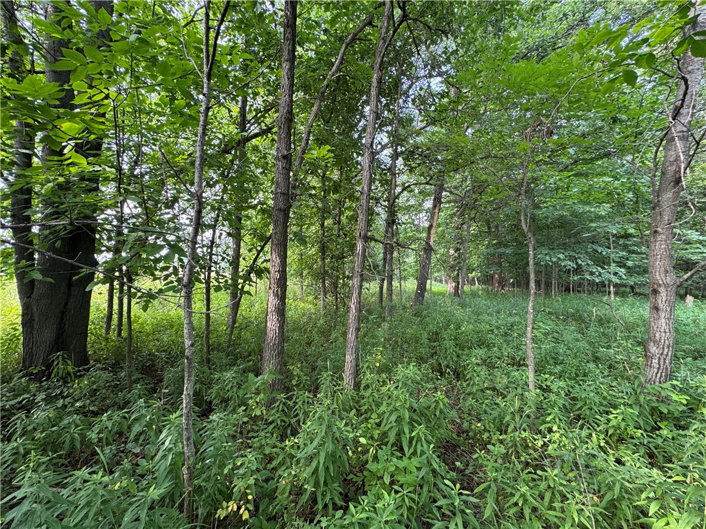 2541 County Rd D Boyd WI 54726 1594273 image1