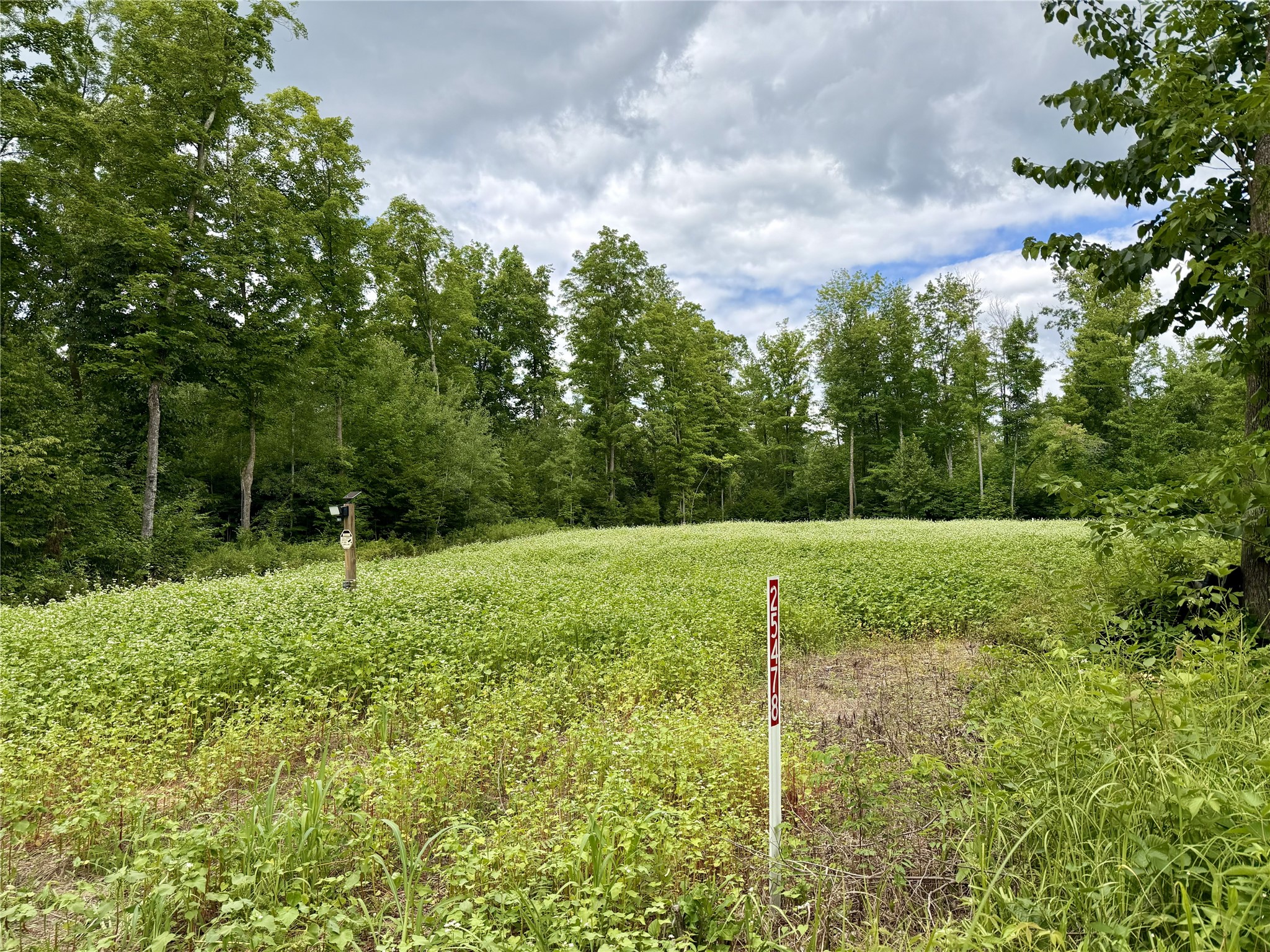 25478 185th Avenue Cornell WI 54732 1603555 image1