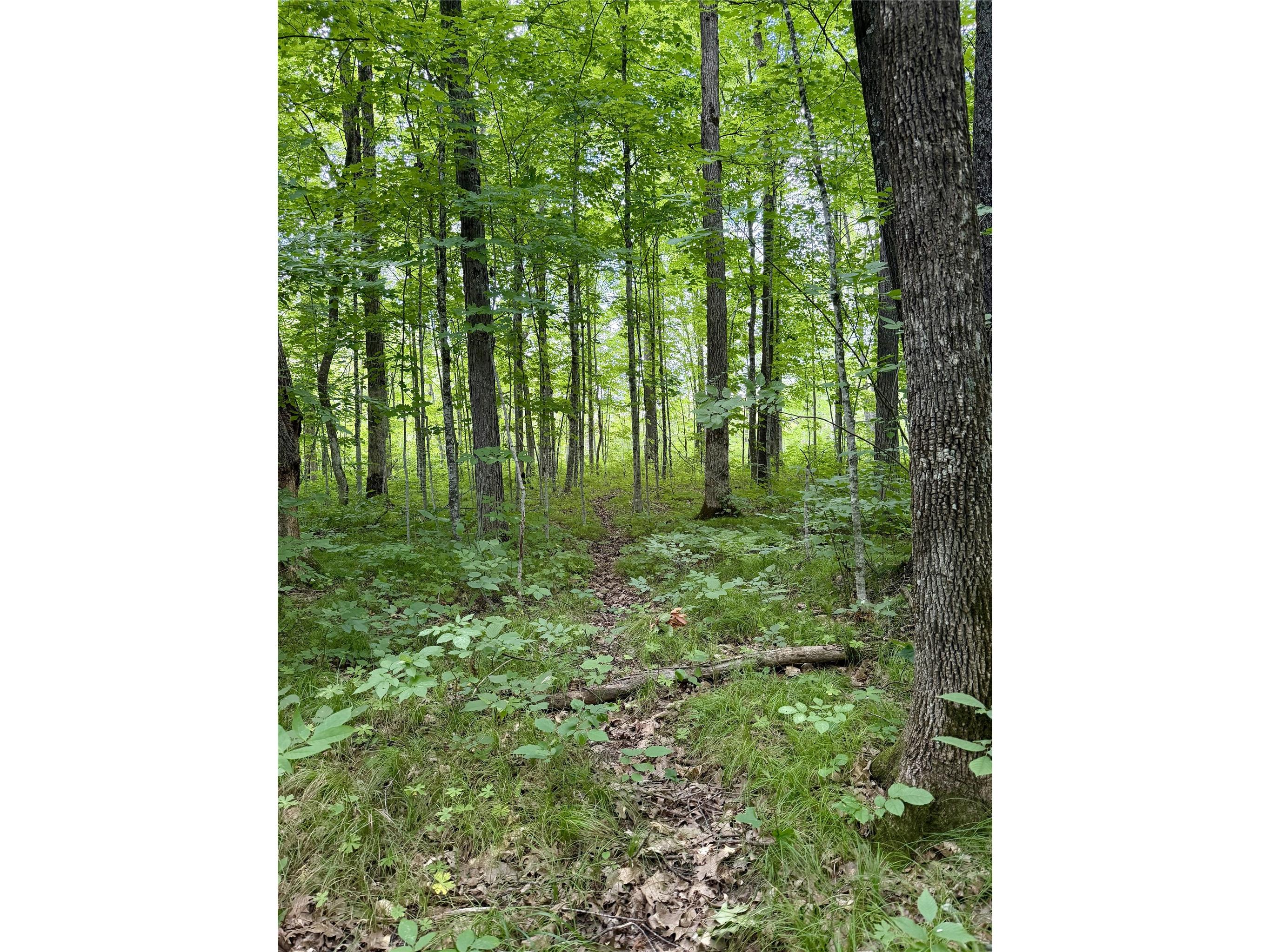 25478 185th Avenue Cornell WI 54732 1603555 image10