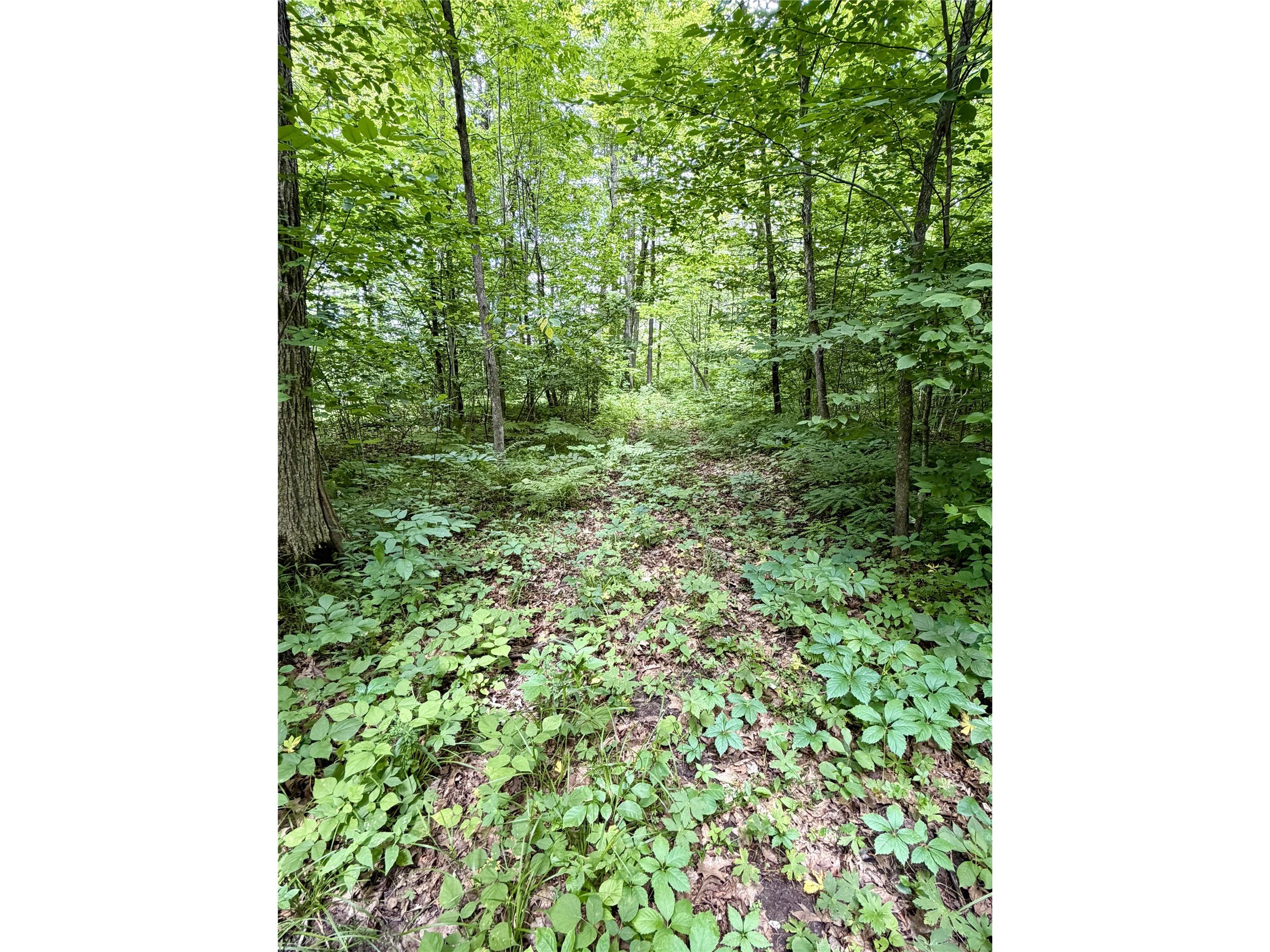 25478 185th Avenue Cornell WI 54732 1603555 image11