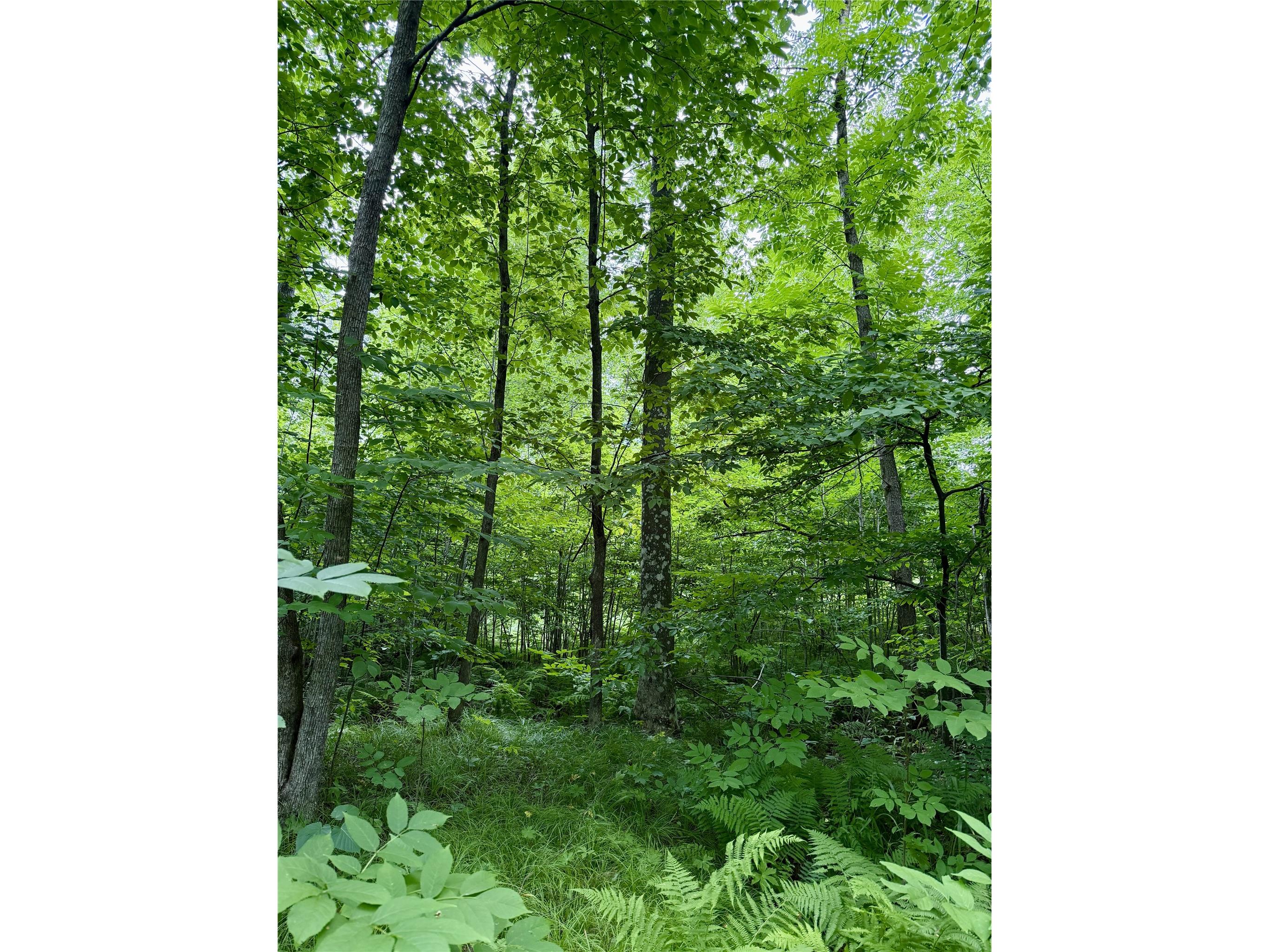25478 185th Avenue Cornell WI 54732 1603555 image12