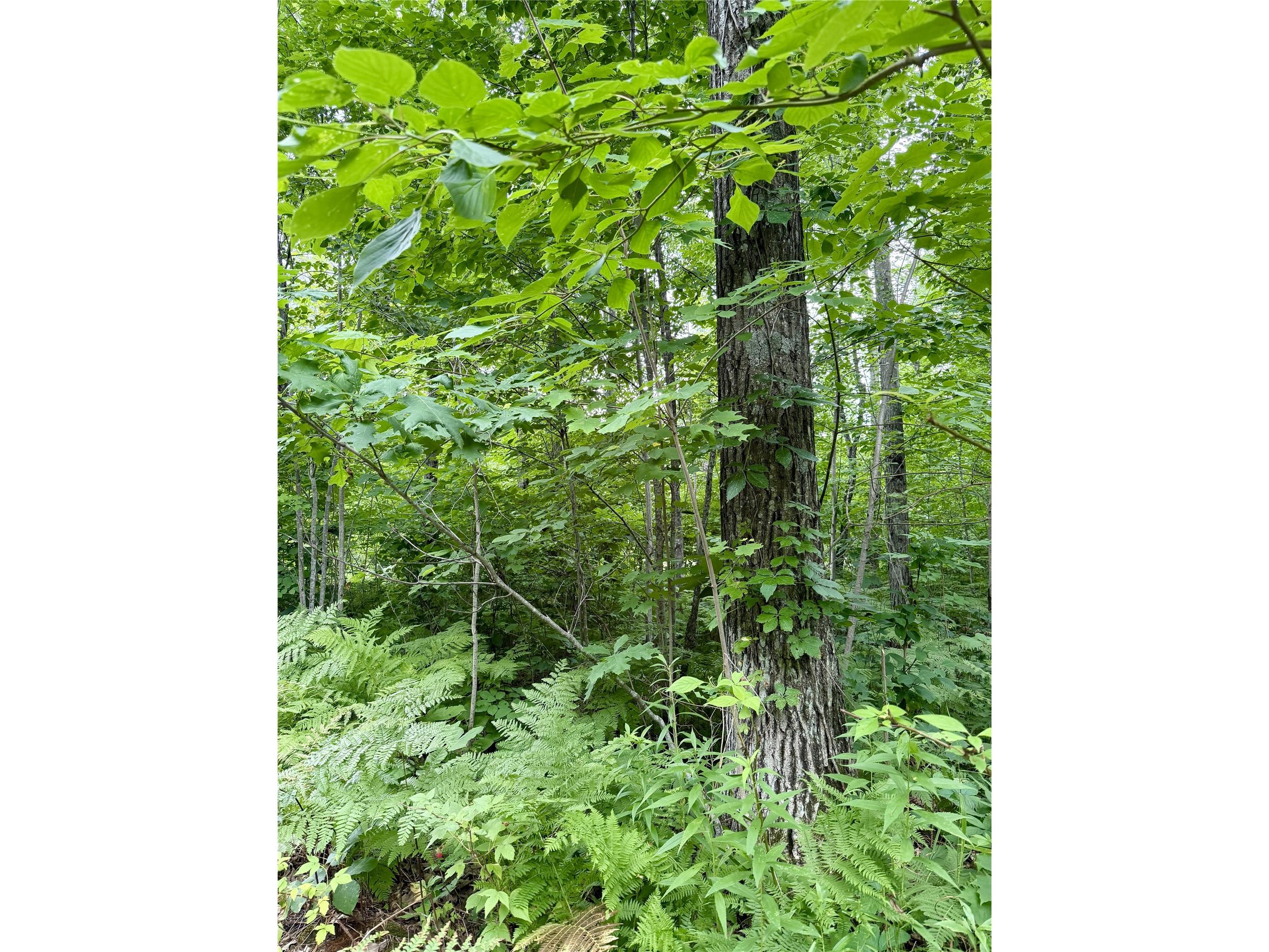 25478 185th Avenue Cornell WI 54732 1603555 image13