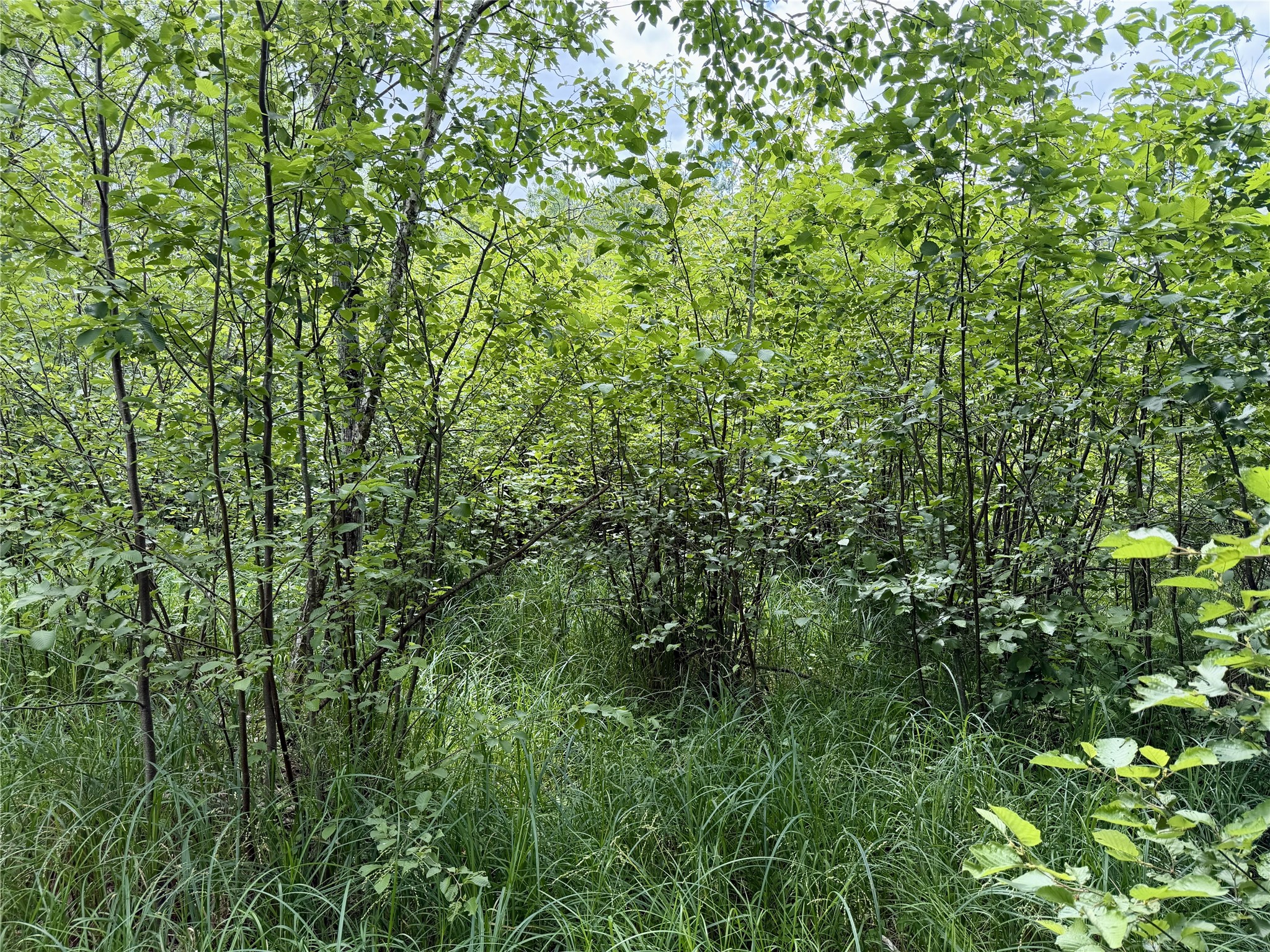 25478 185th Avenue Cornell WI 54732 1603555 image15