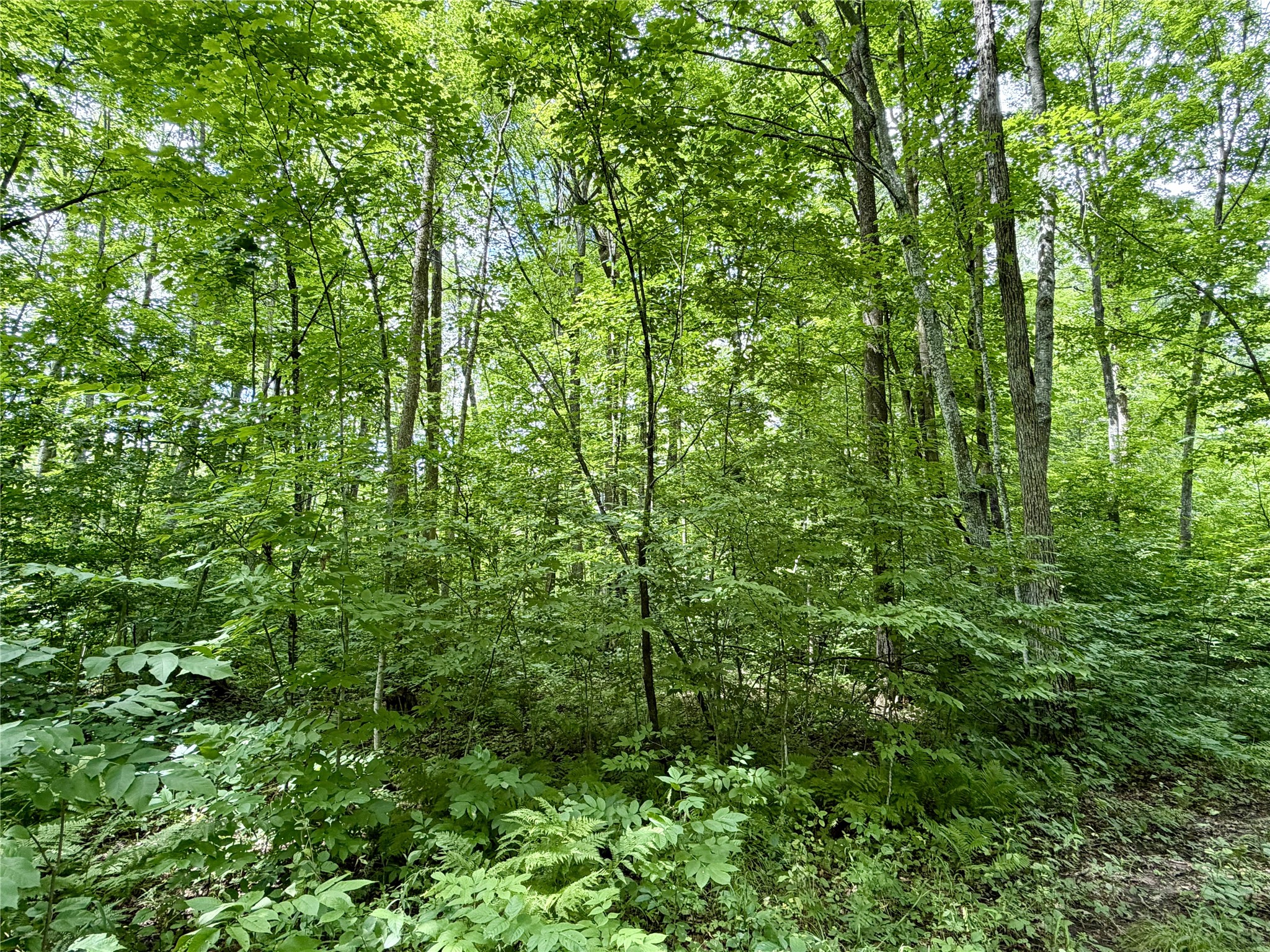 25478 185th Avenue Cornell WI 54732 1603555 image16