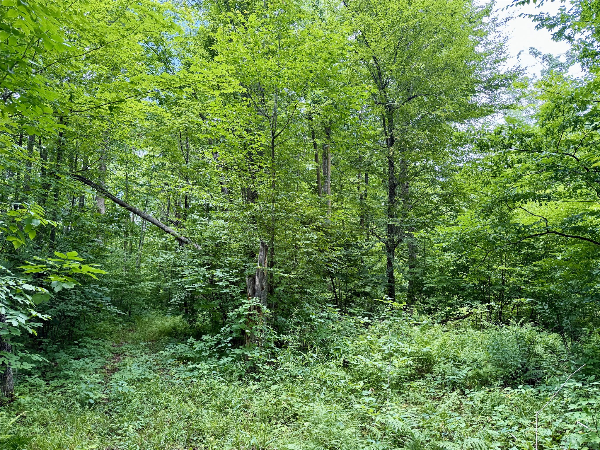 25478 185th Avenue Cornell WI 54732 1603555 image17
