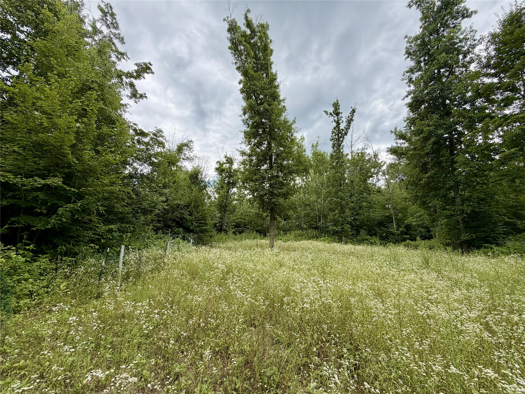 25478 185th Avenue Cornell WI 54732 1603555 image18