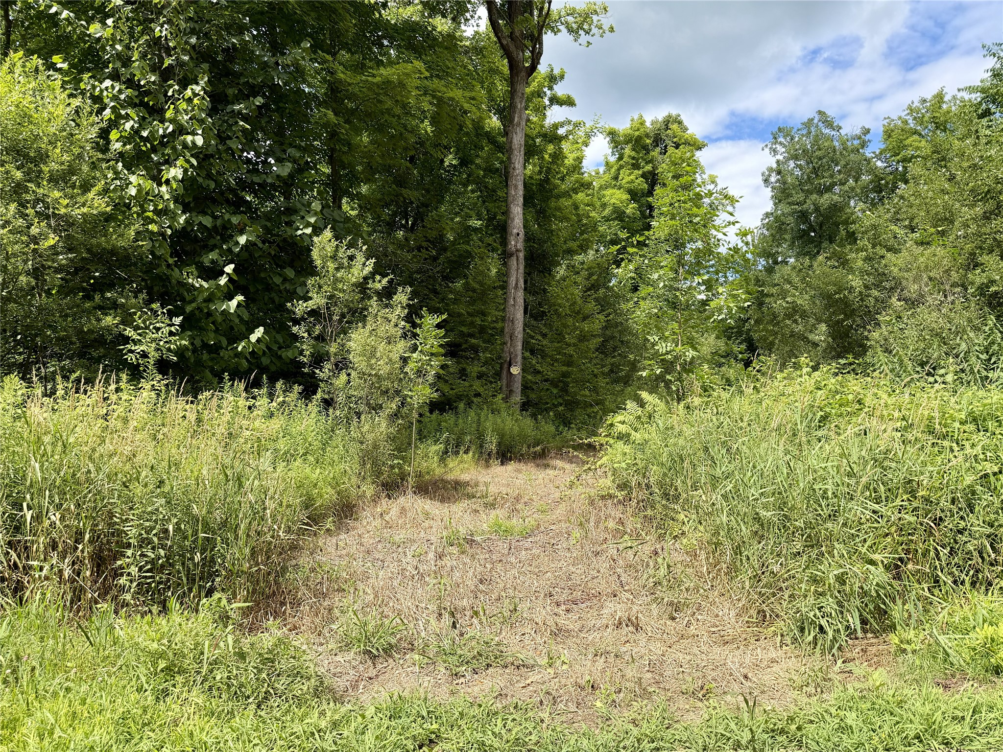 25478 185th Avenue Cornell WI 54732 1603555 image2