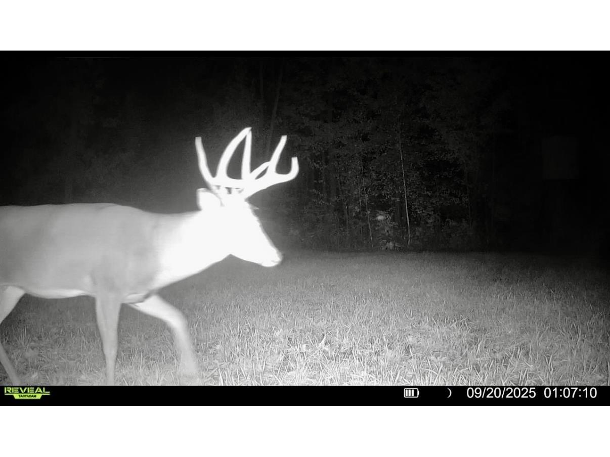 25478 185th Avenue Cornell WI 54732 1603555 image25