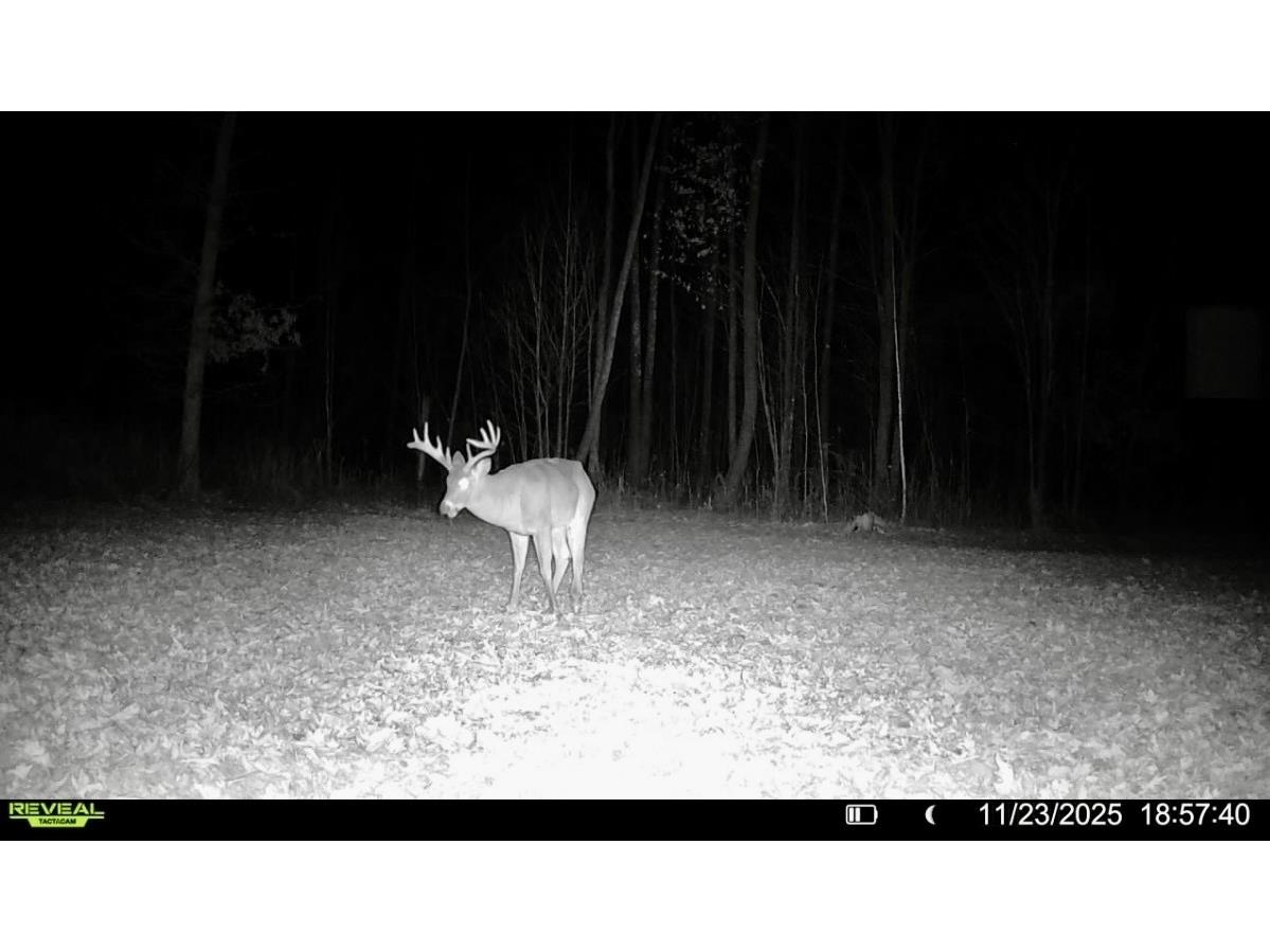 25478 185th Avenue Cornell WI 54732 1603555 image26